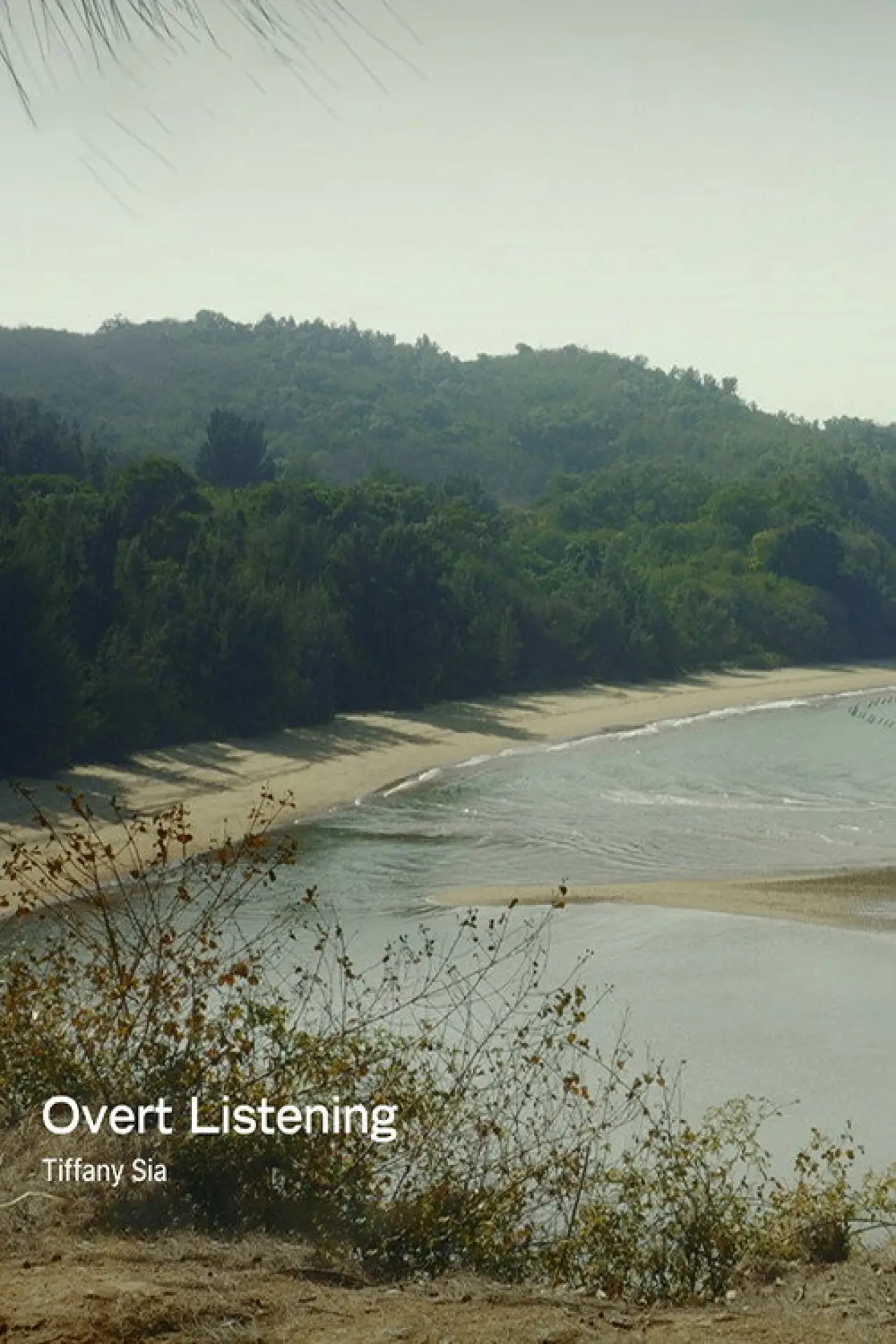 Movie poster "Overt Listening"