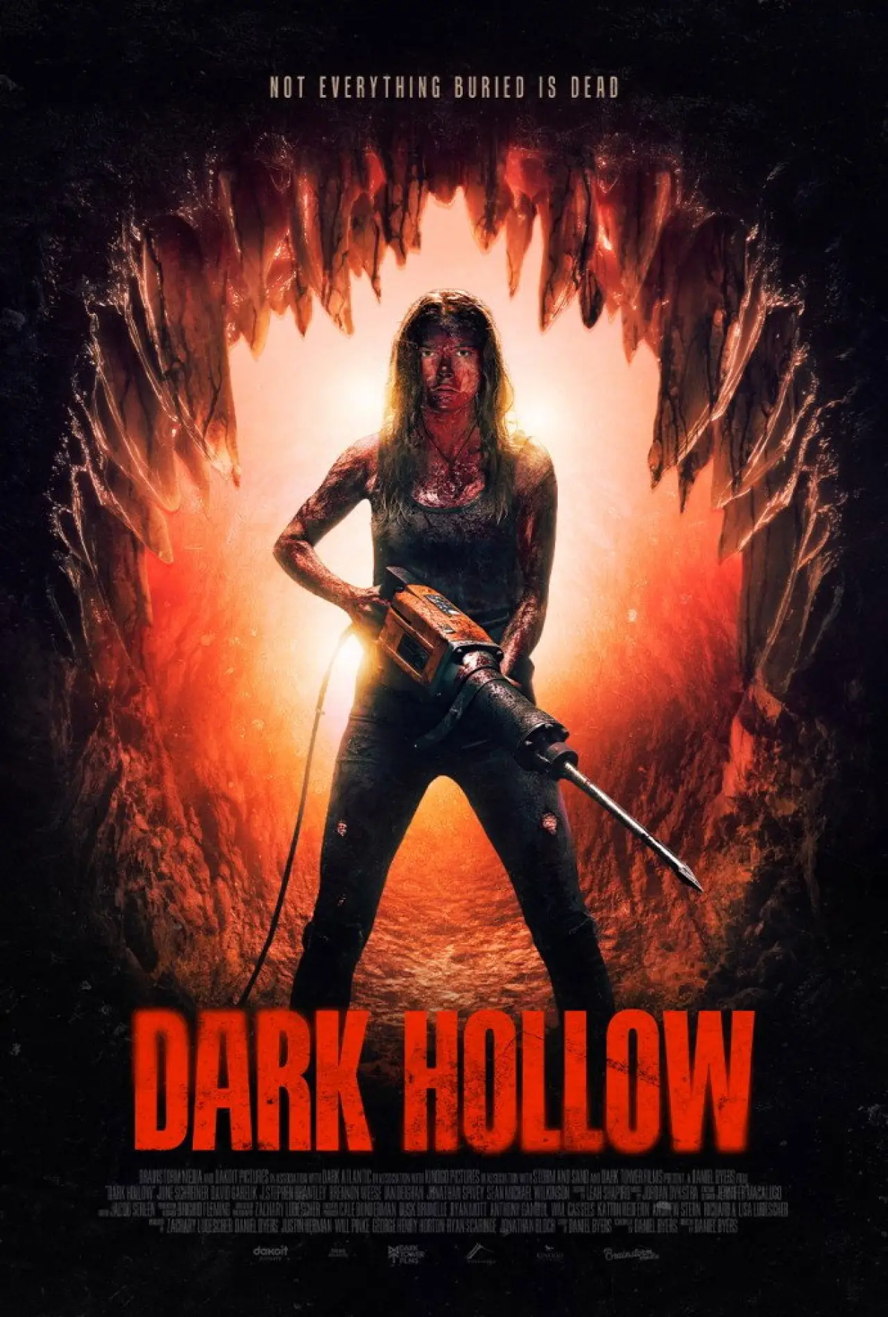 Movie poster "Dark Hollow"