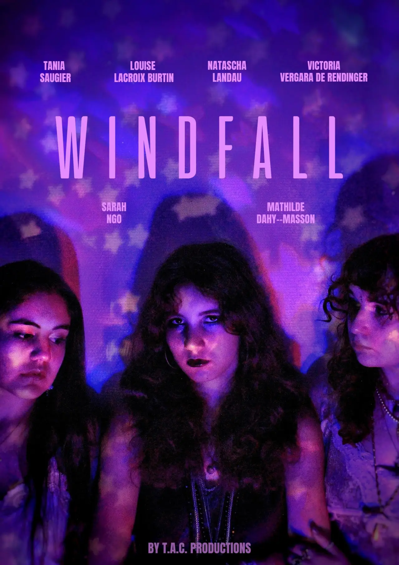 Movie poster "WINDFALL"