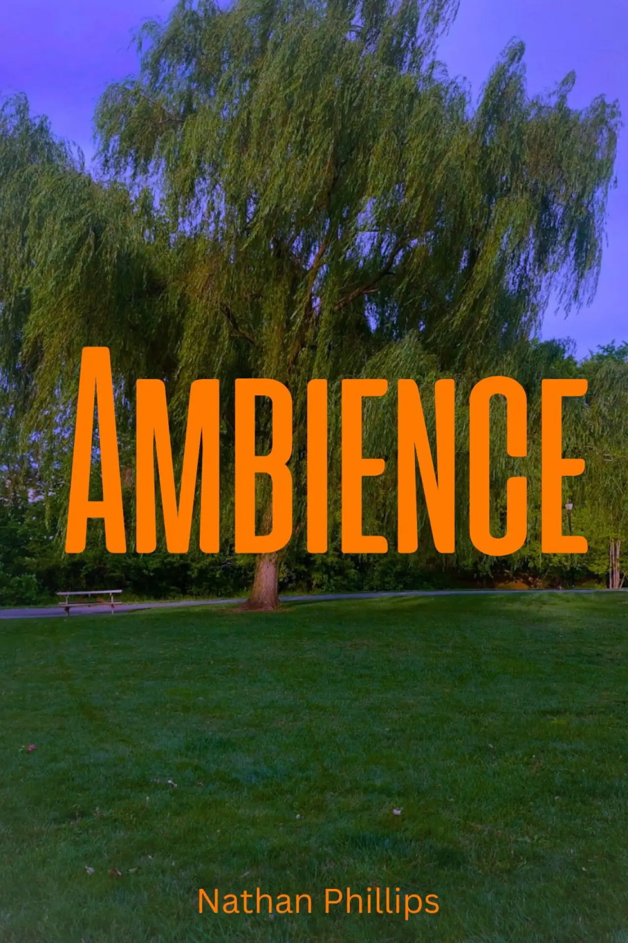 Movie poster "Ambience"