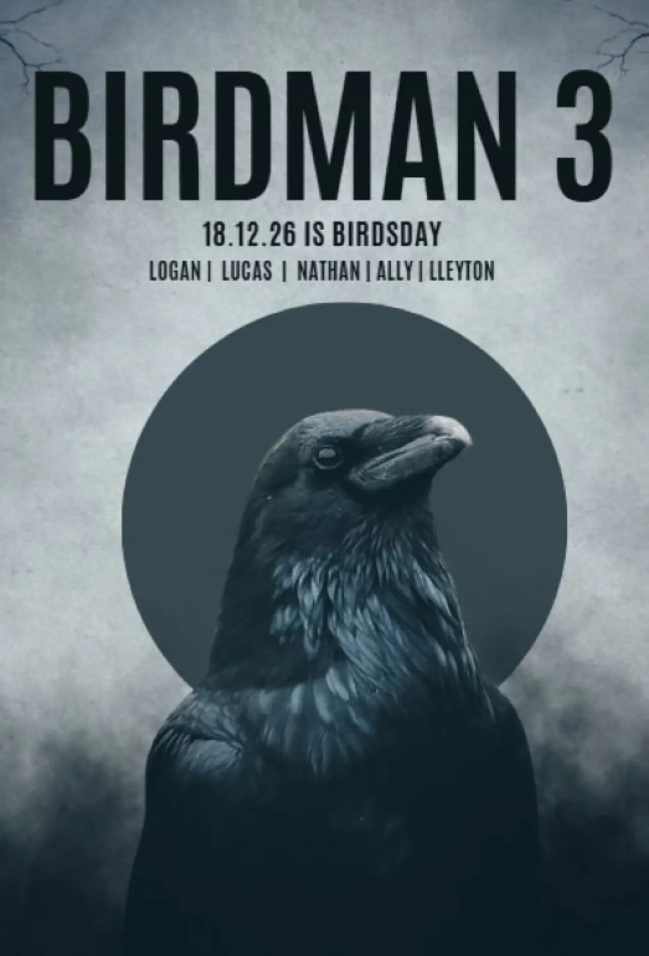 Movie poster "BIRDMAN 3"