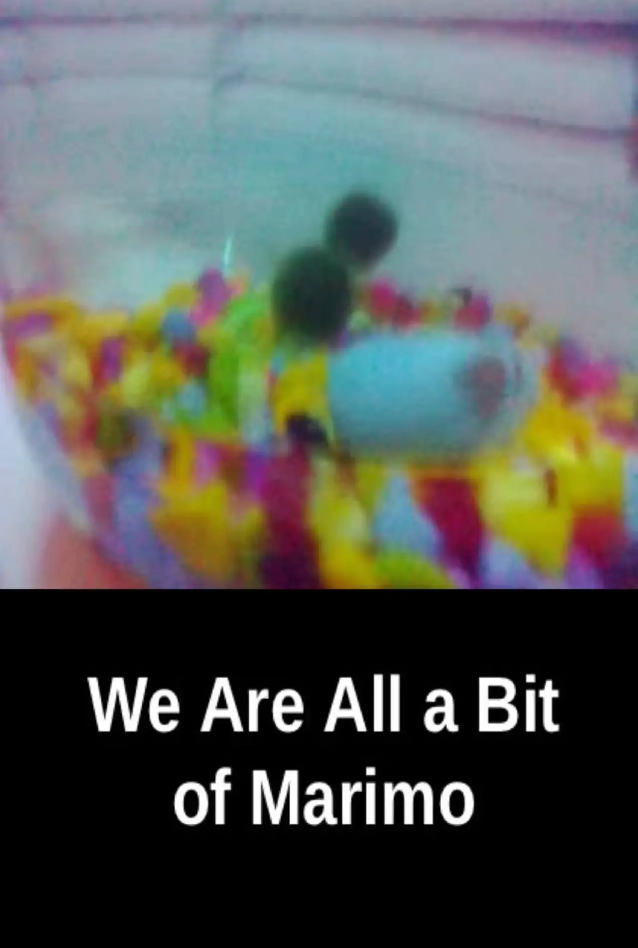 Movie poster "We Are All a Bit of Marimo"