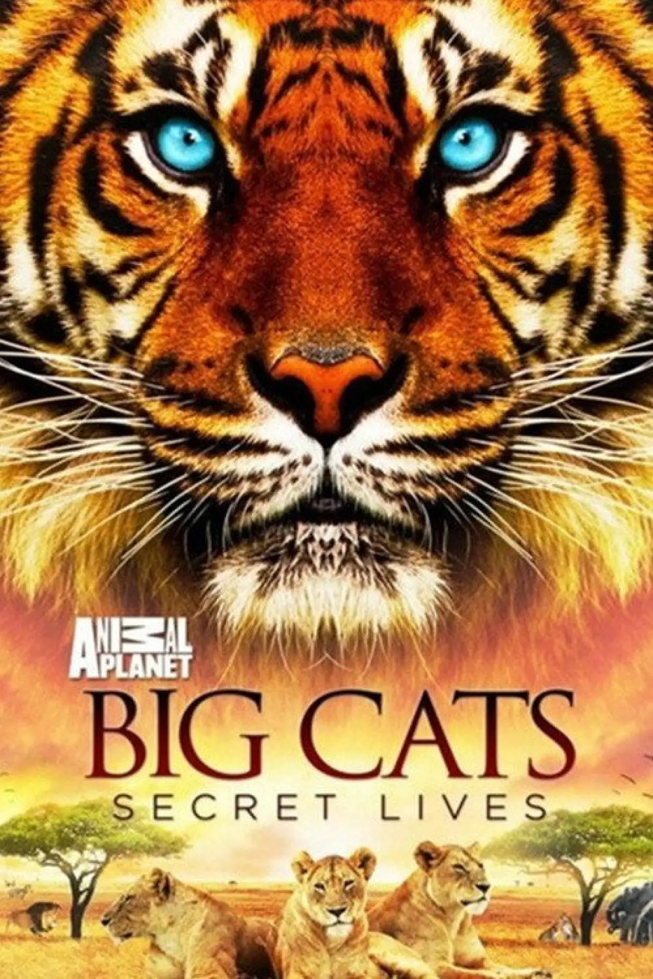 Movie poster "Big Cats: Secret Lives"