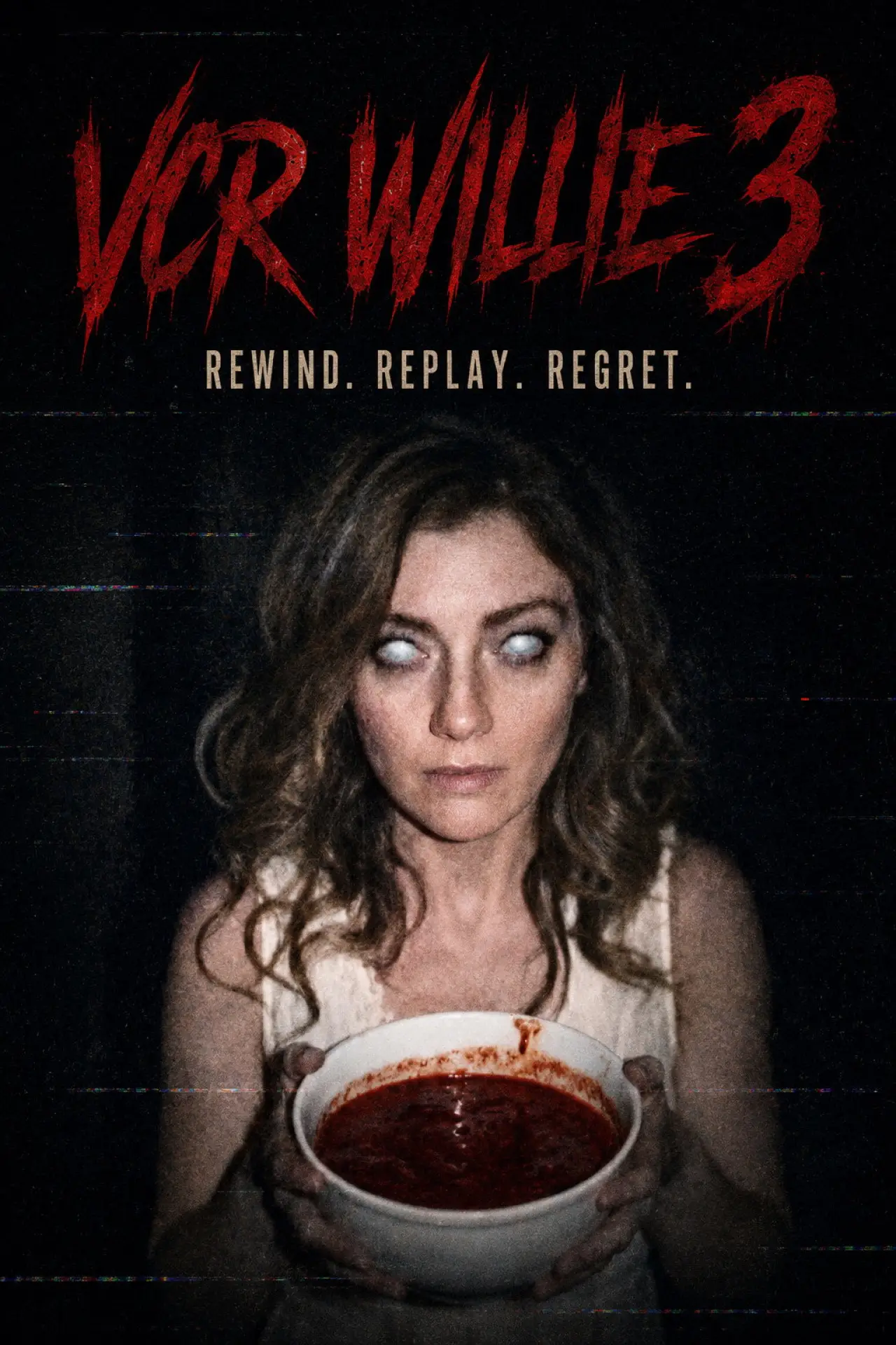 Movie poster "VCR Willie: Tape 3"