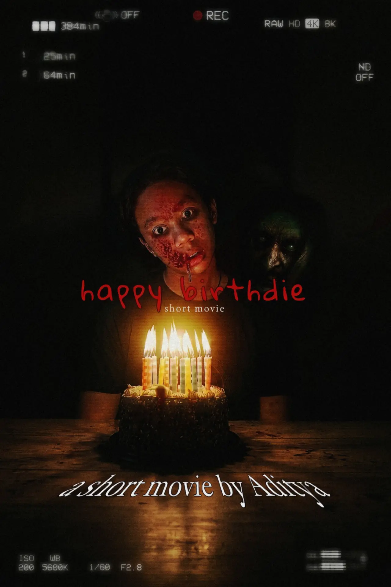 Movie poster "my birthday disaster"