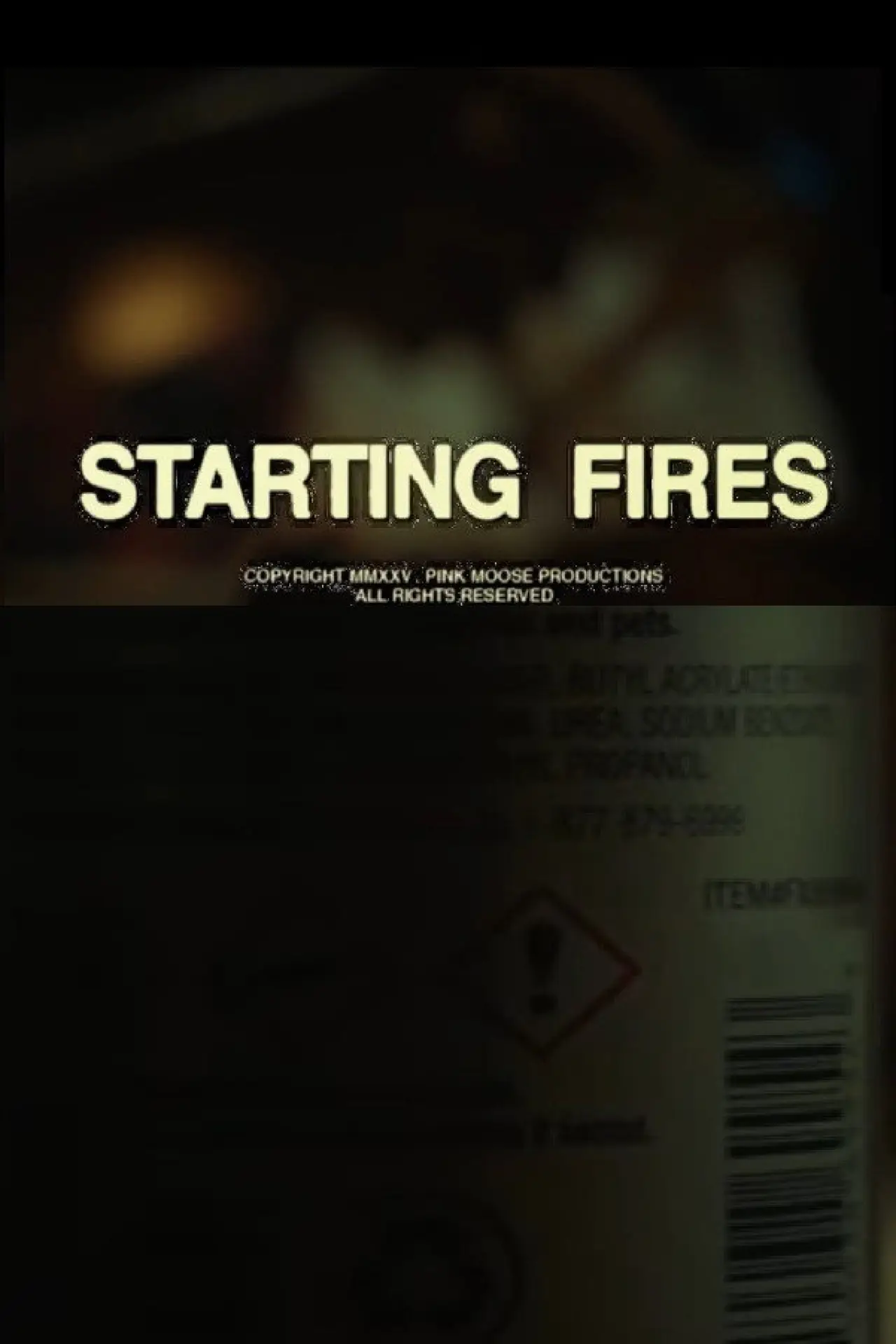 Movie poster "STARTING FIRES"