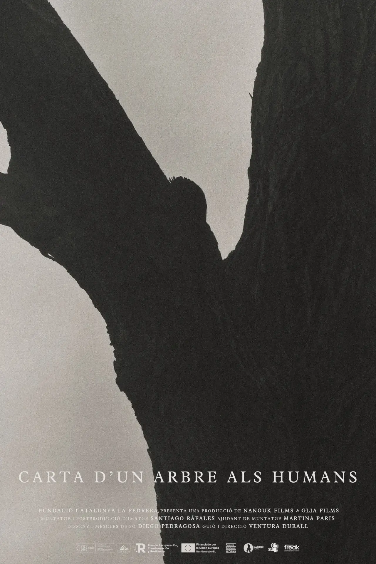 Movie poster "Carta d’un arbre als humans"