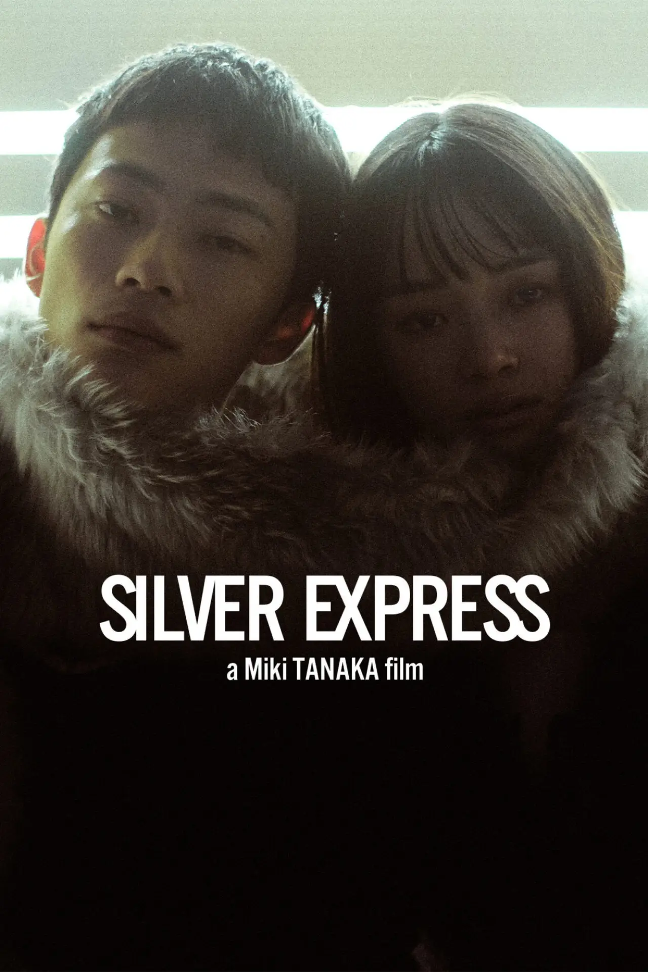 Movie poster "Silver Express"