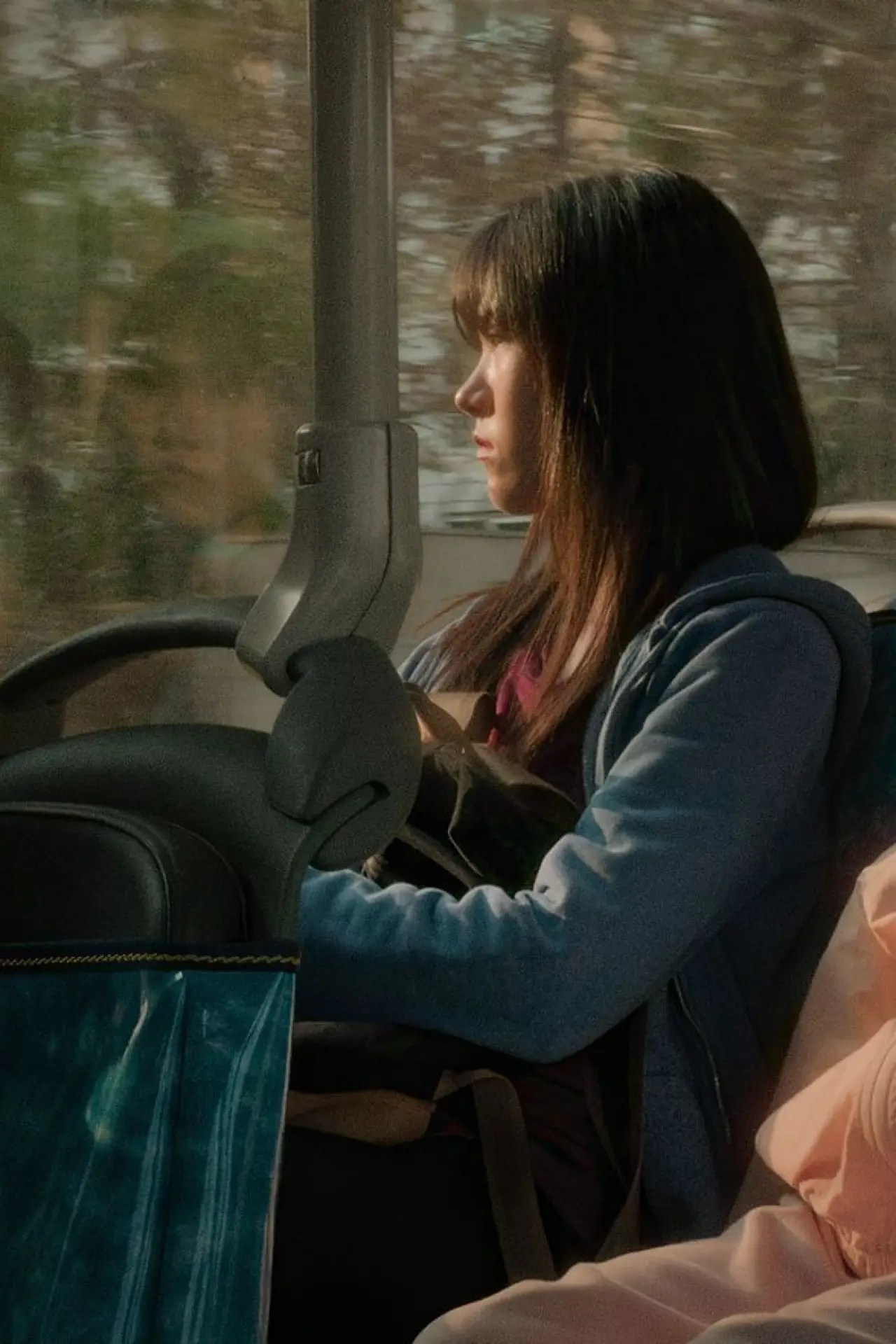 Movie poster "The Distant Home"
