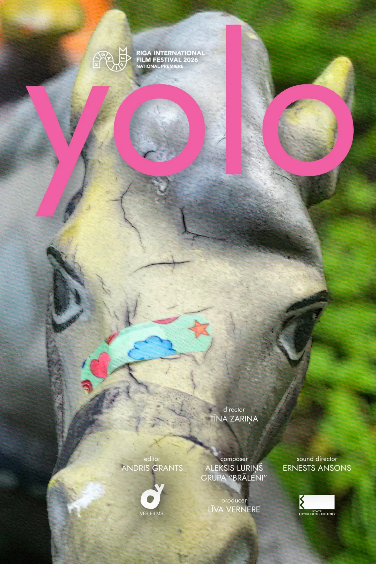 Movie poster "yolo"