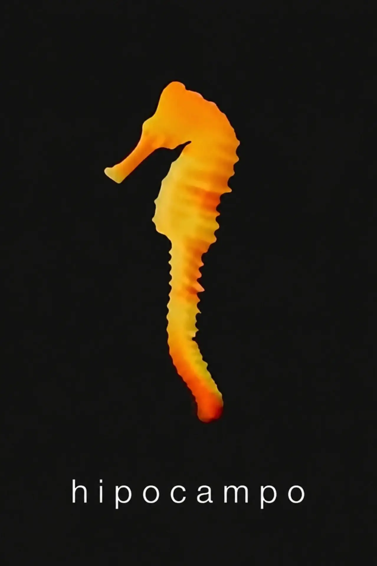 Movie poster "Hippocampus"