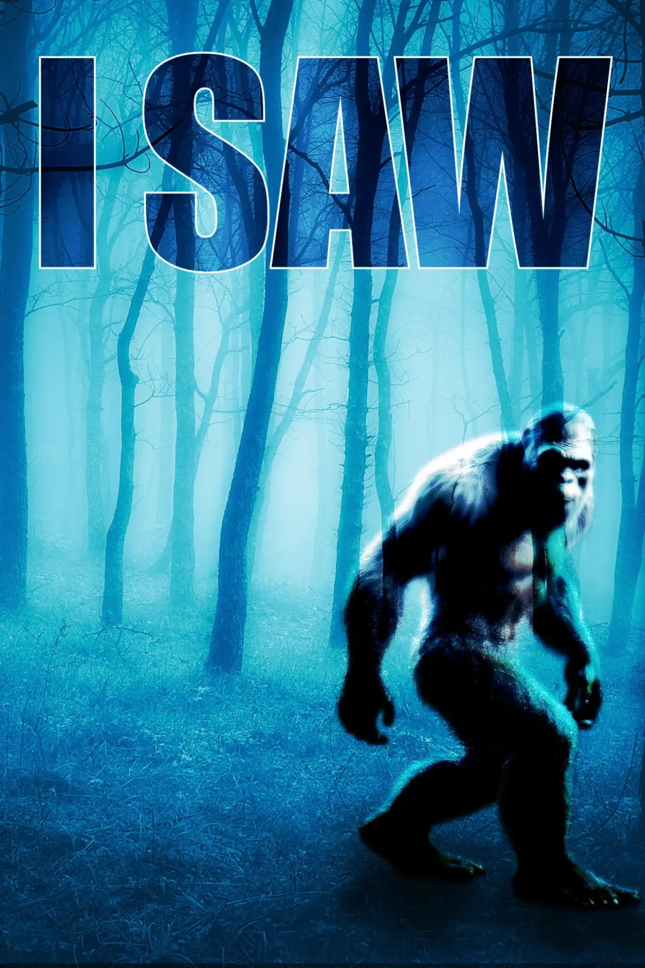 Movie poster "I SAW"