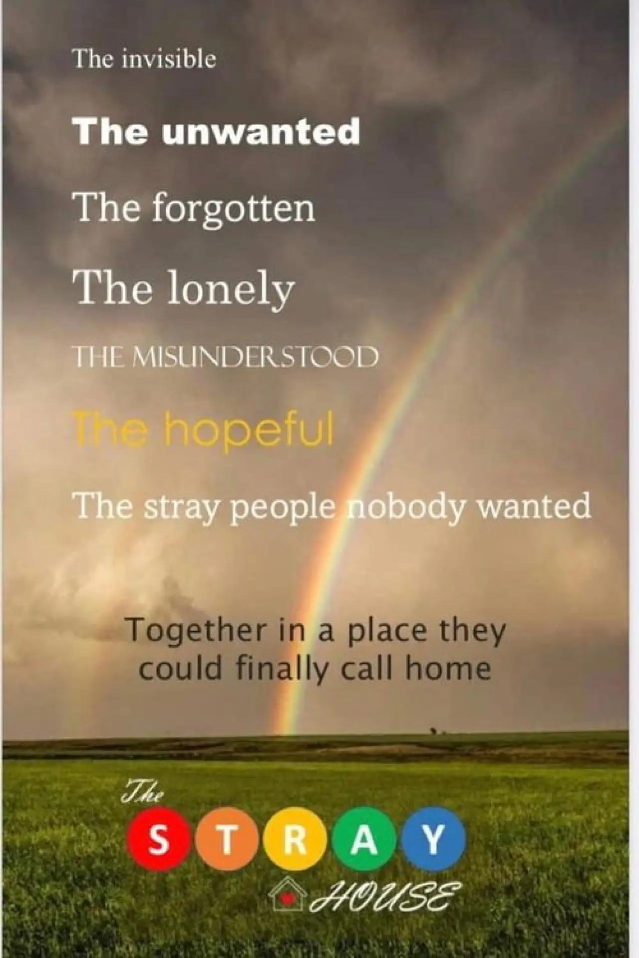 Movie poster "The Stray House"