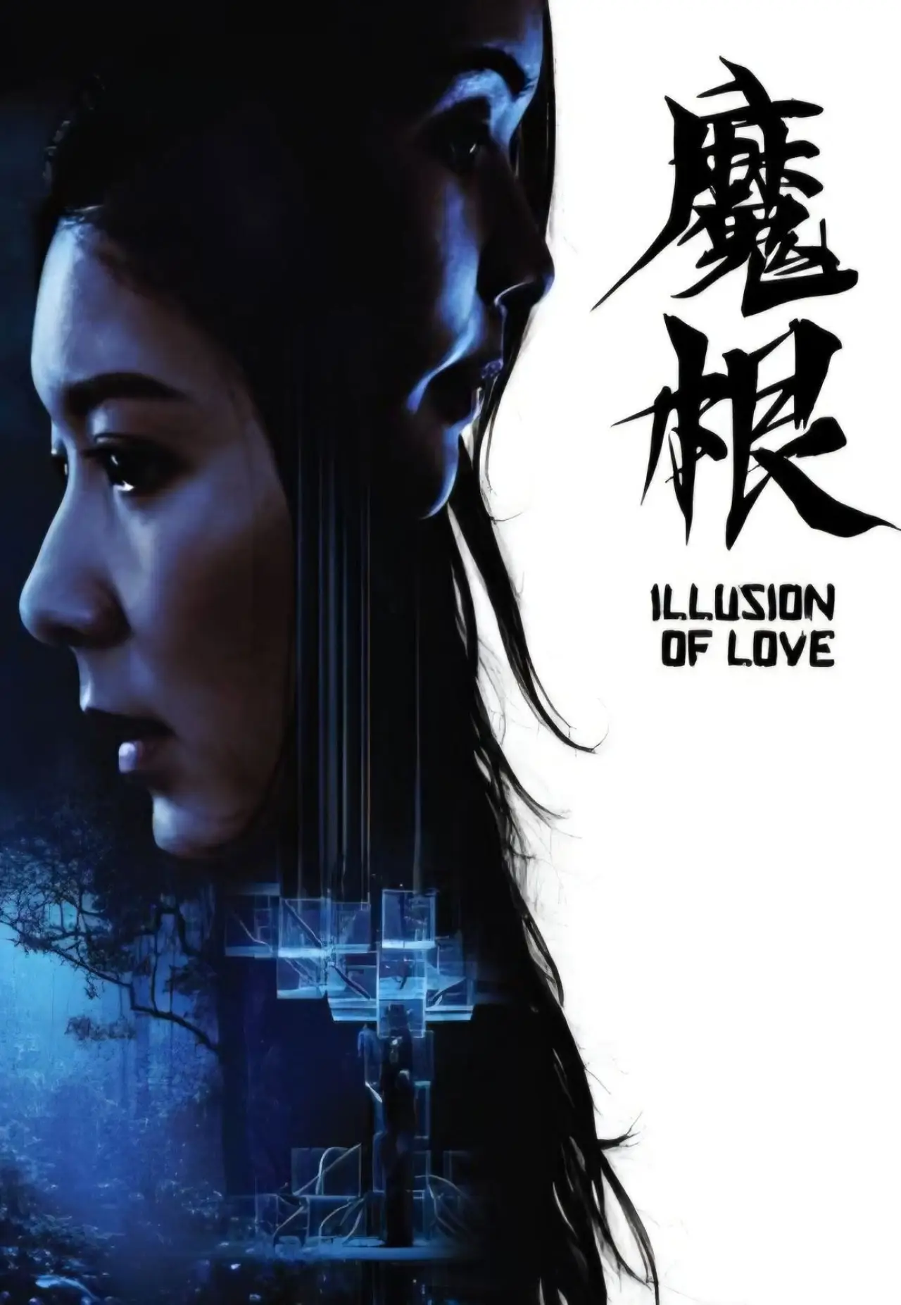 Movie poster "Illusion of Love"