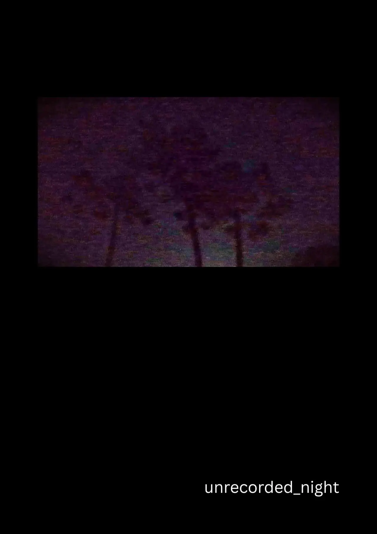 Movie poster "unrecorded_night"