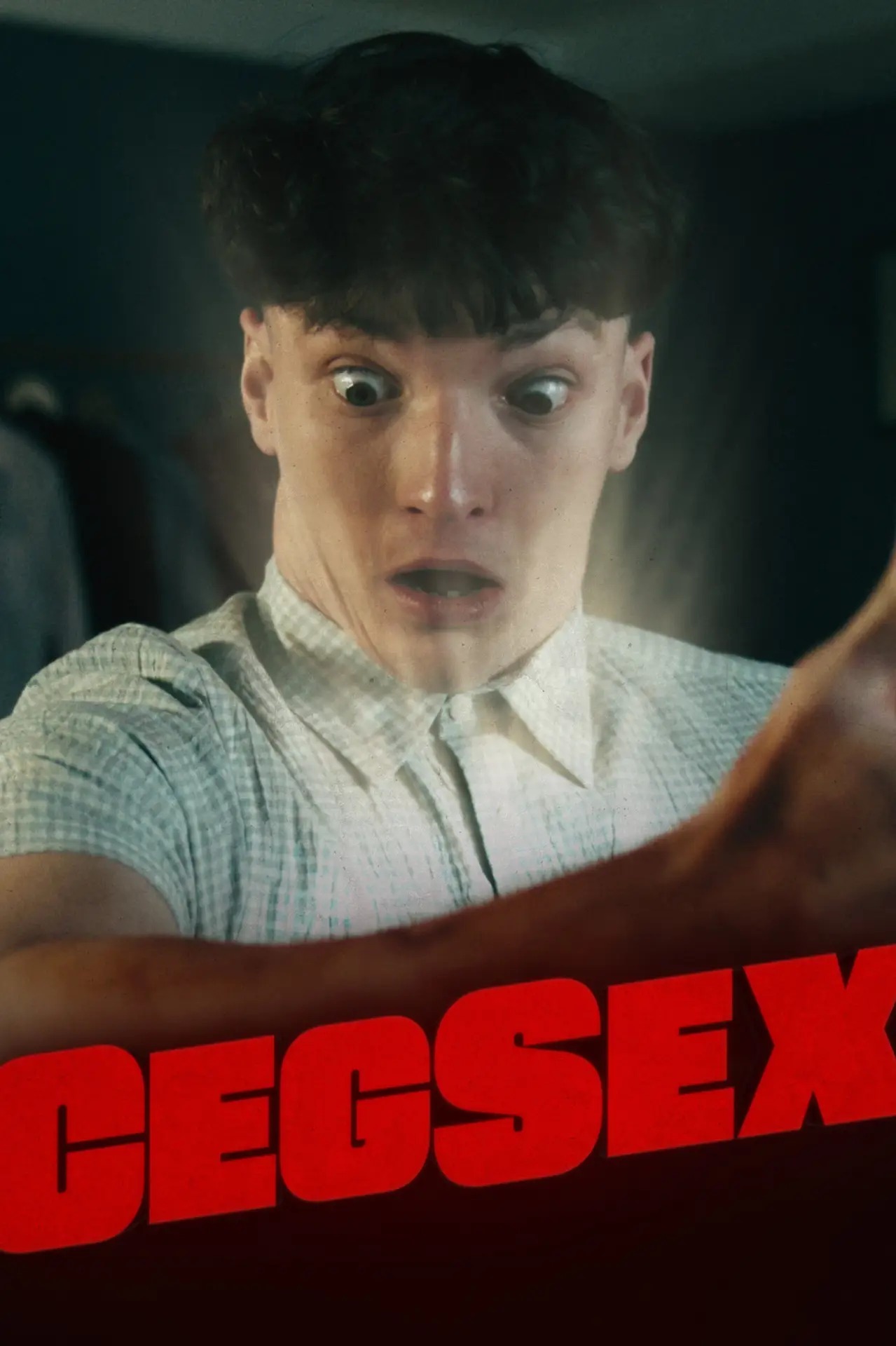 Movie poster "Cegsex"