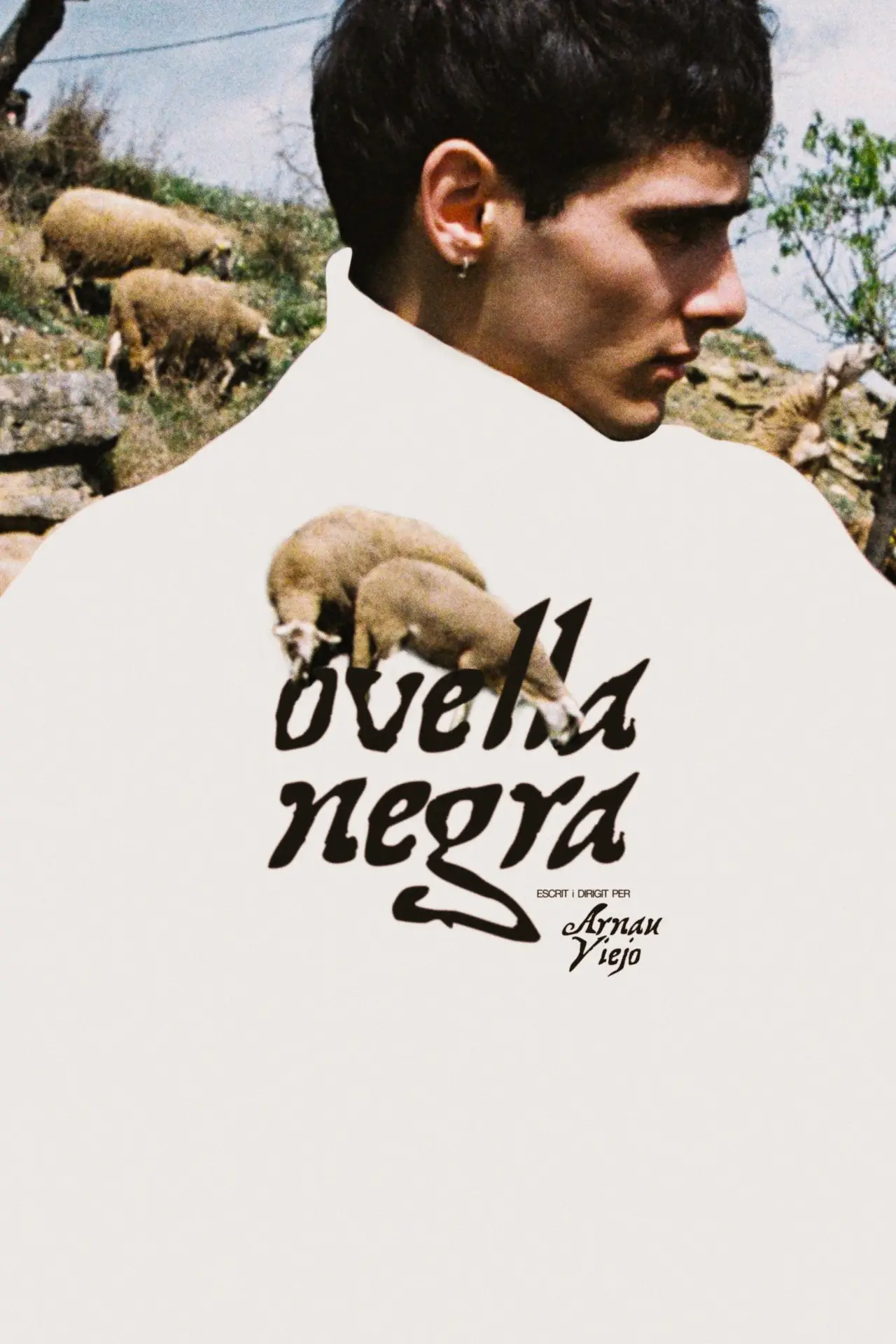 Movie poster "Black Sheep"