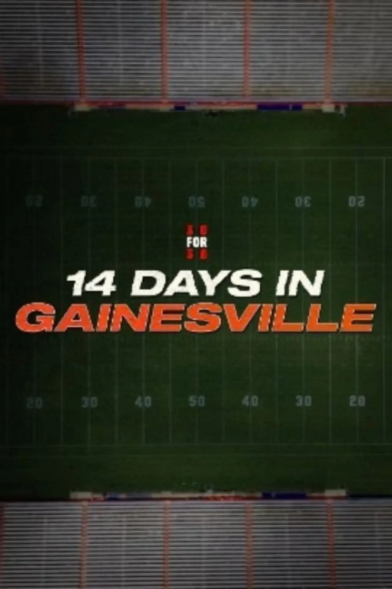 Movie poster "14 Days in Gainesville"