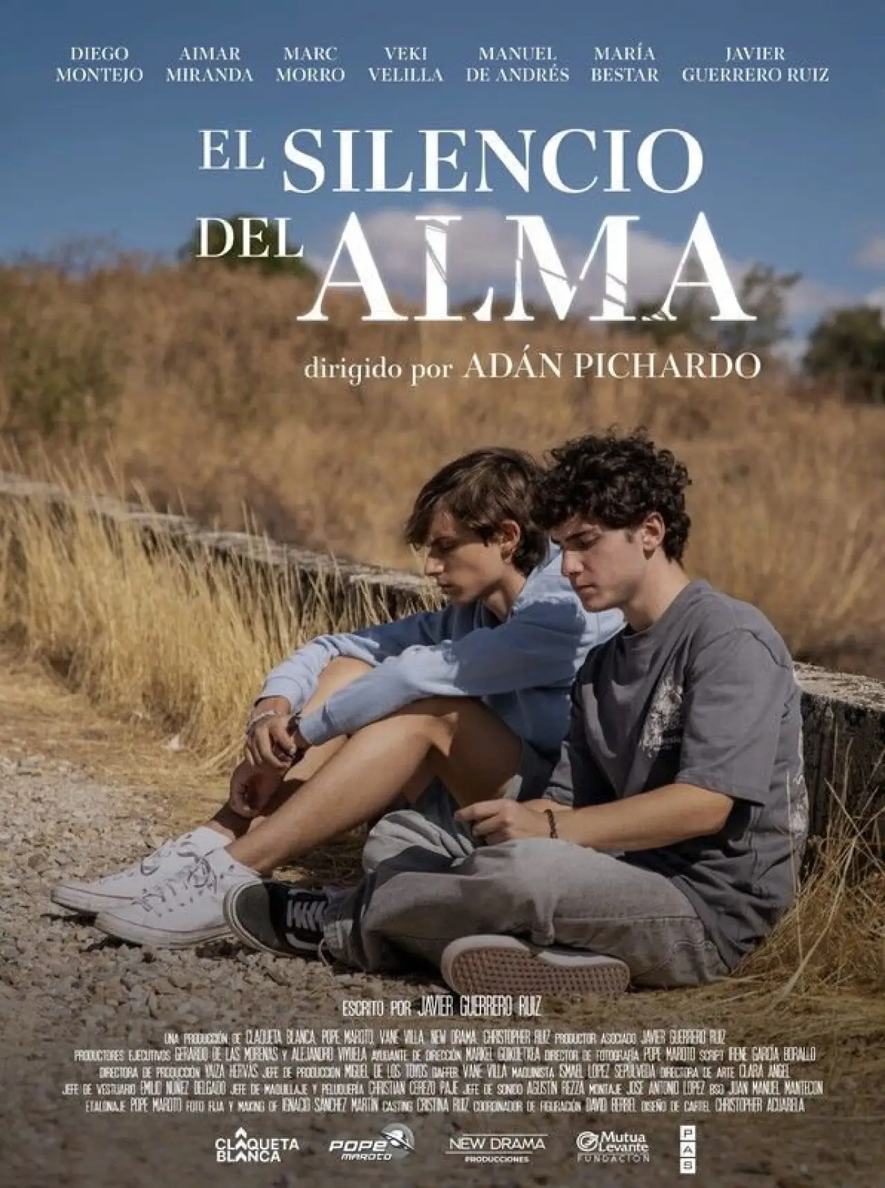 Movie poster "The Silence of the Soul"