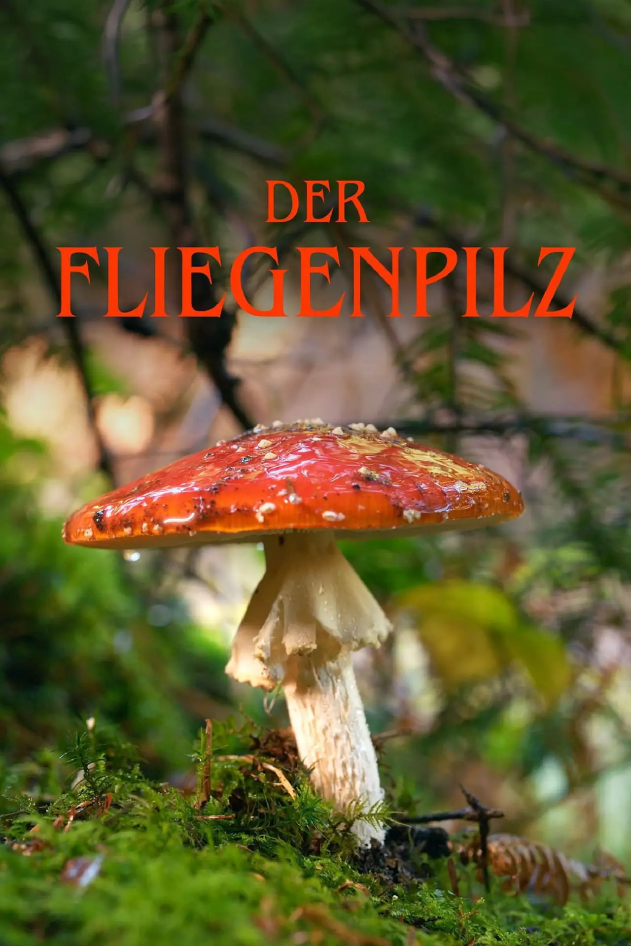 Movie poster "Der Fliegenpilz"