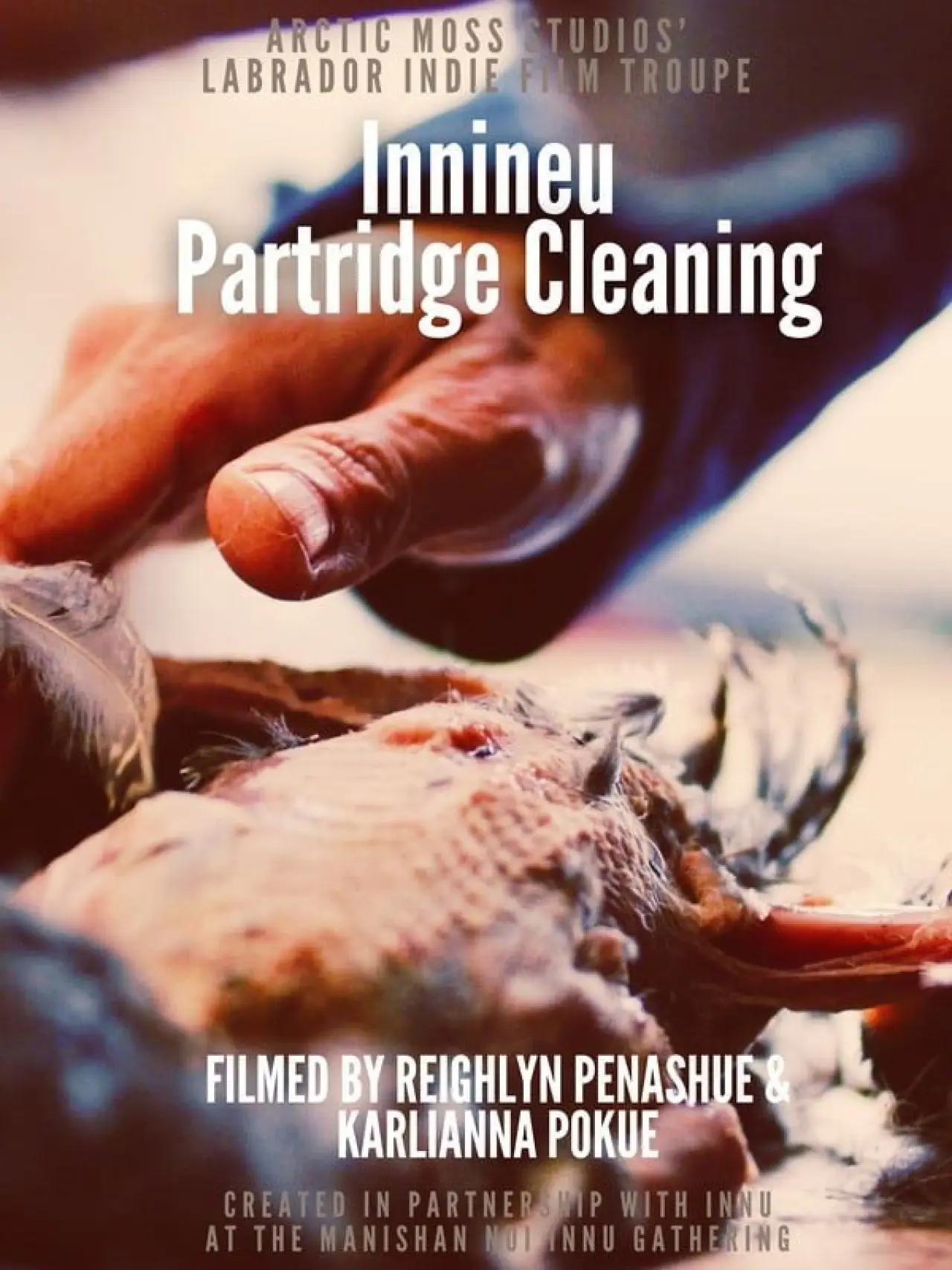 Movie poster "Preparing Innineu: Partridge Cleaning in Sheshatshiu"