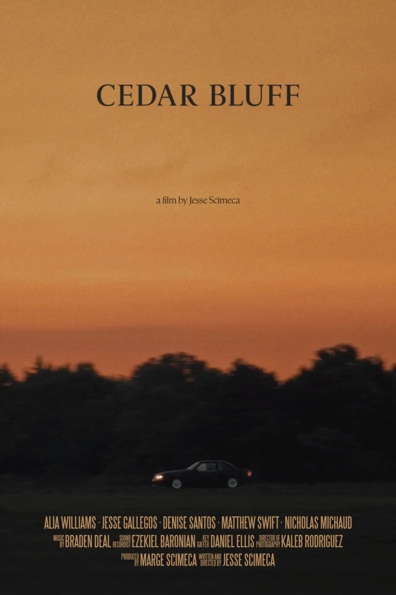 Movie poster "Cedar Bluff"