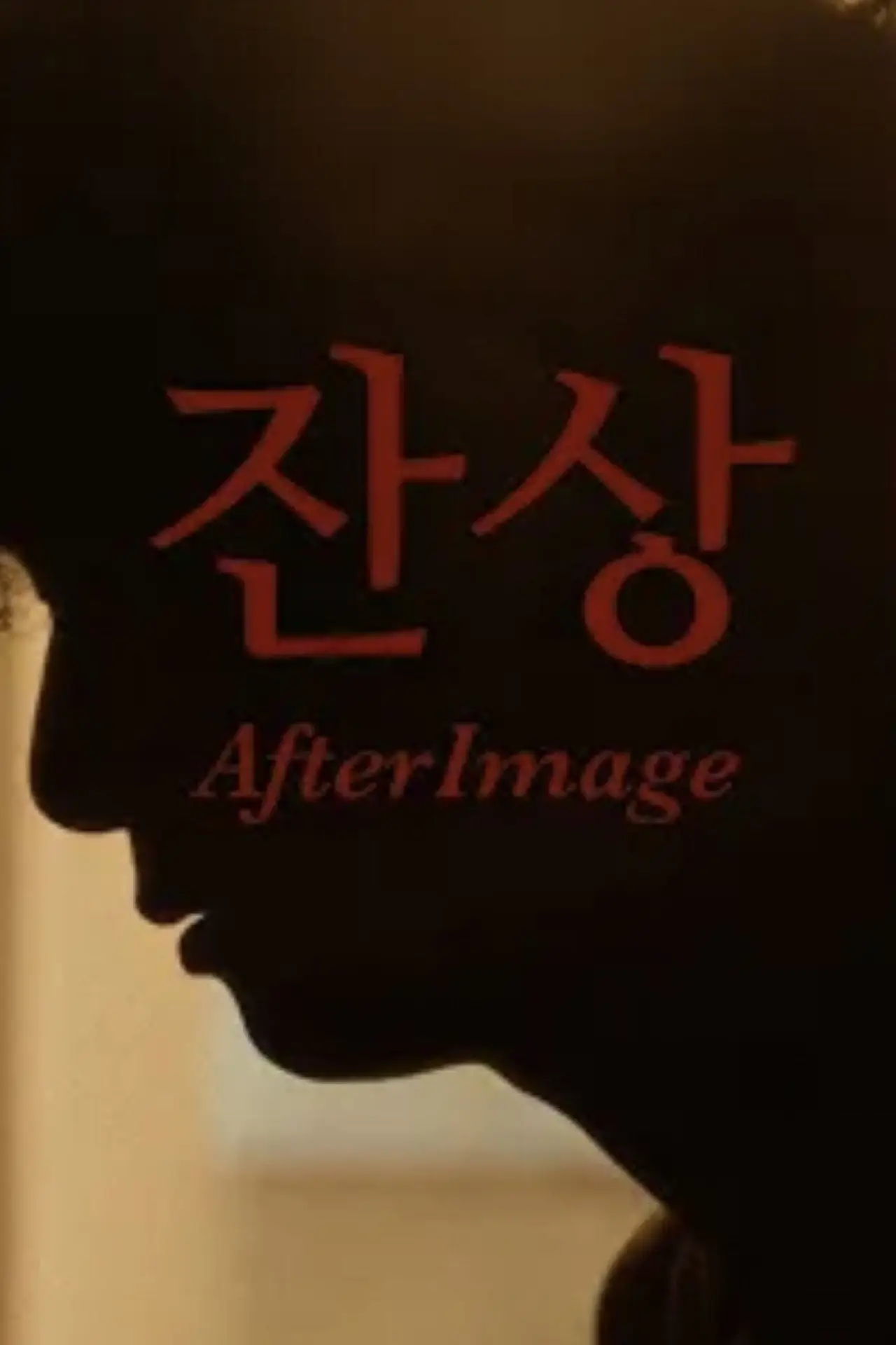 Movie poster "AfterImage"