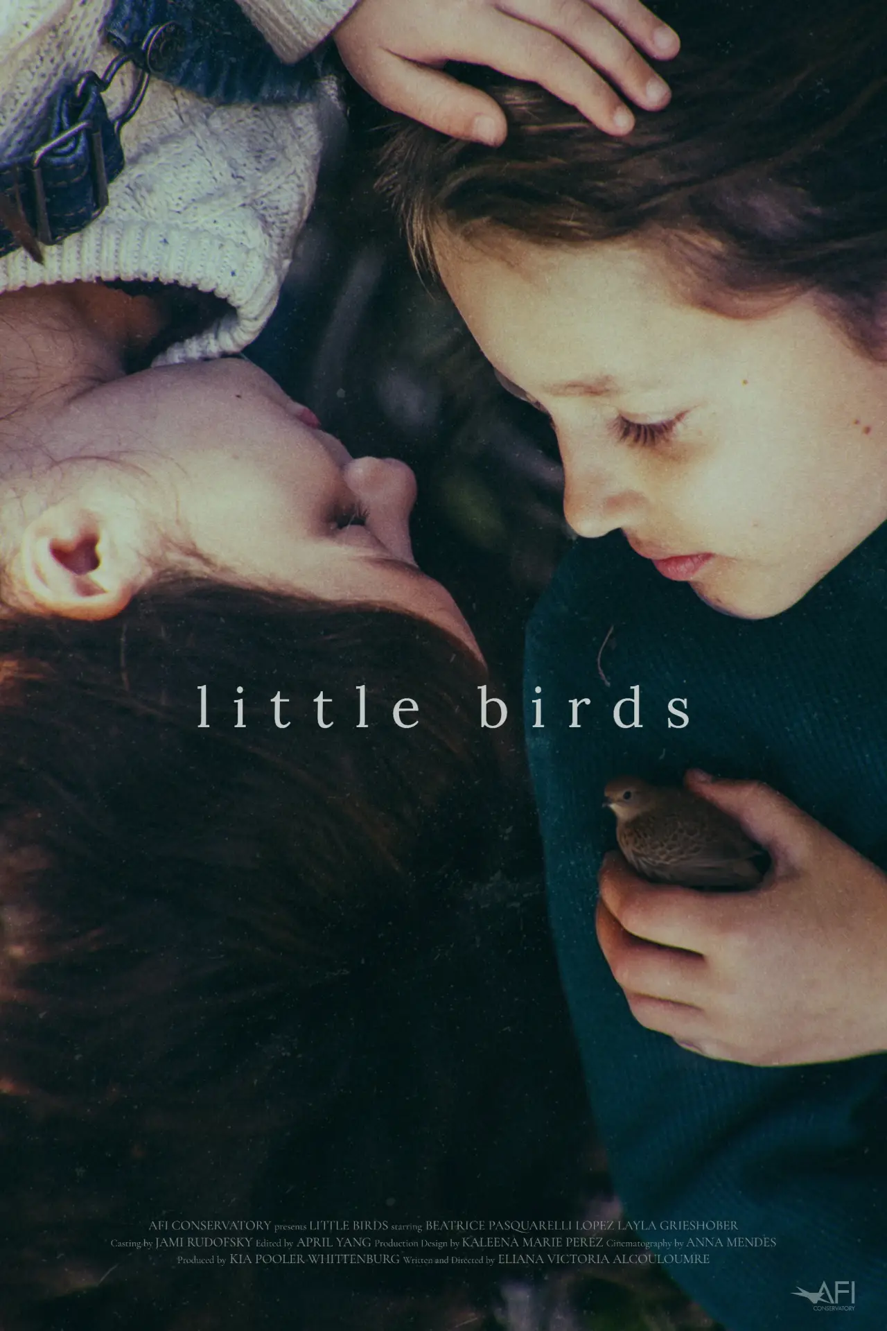 Movie poster "Little Birds"