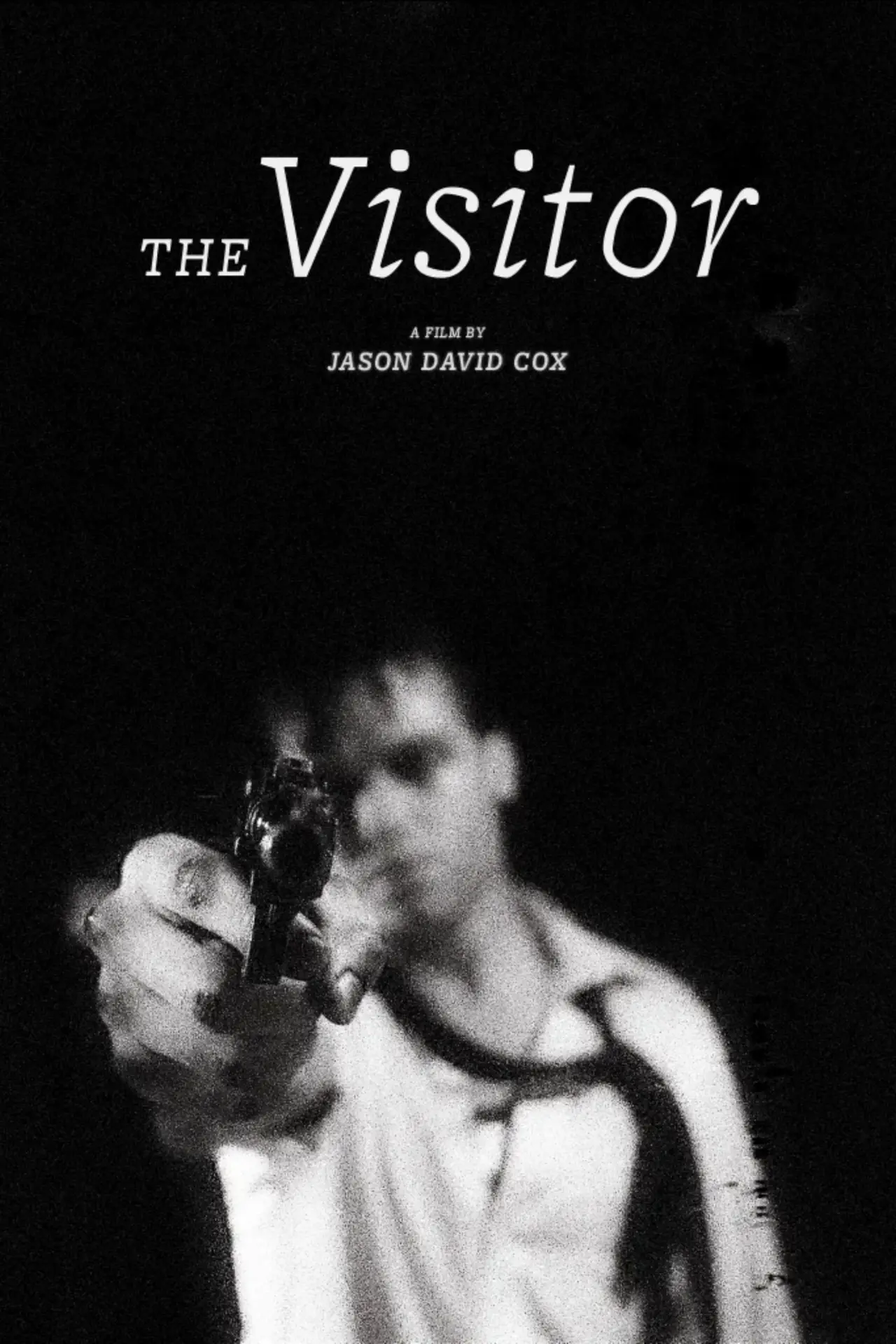 Movie poster "The Visitor"