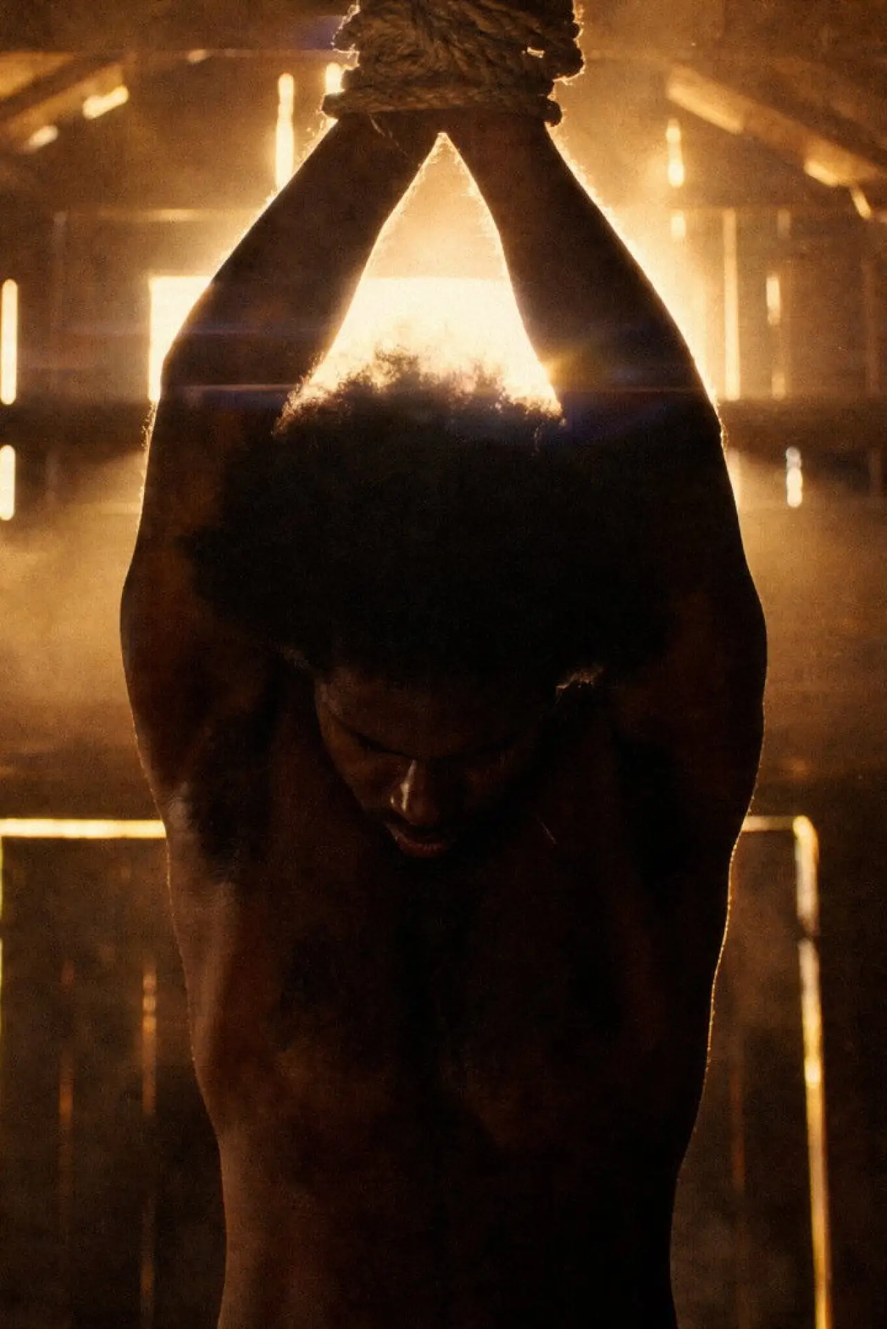 Movie poster "Born Invincible"