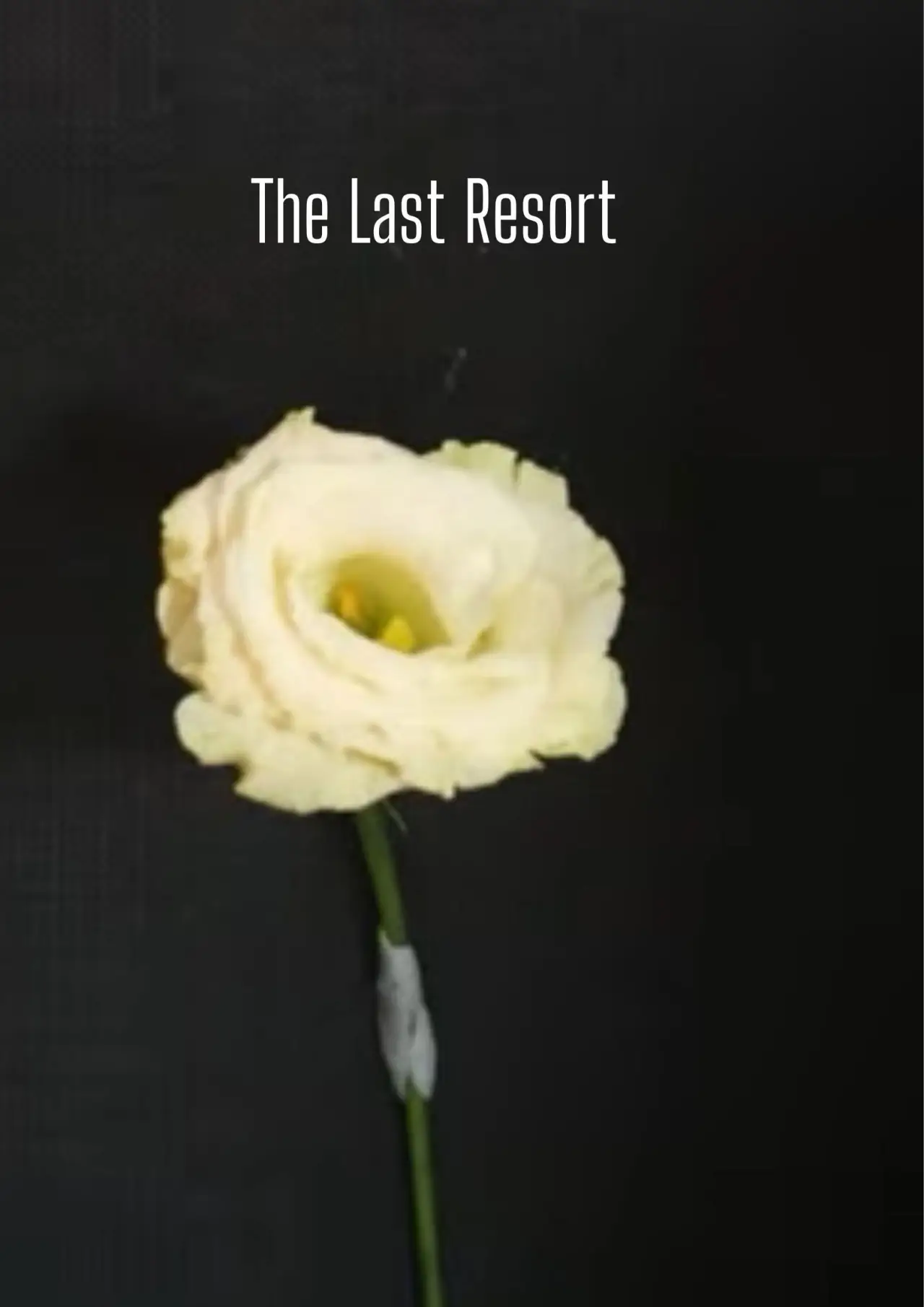 Movie poster "The Last resort"