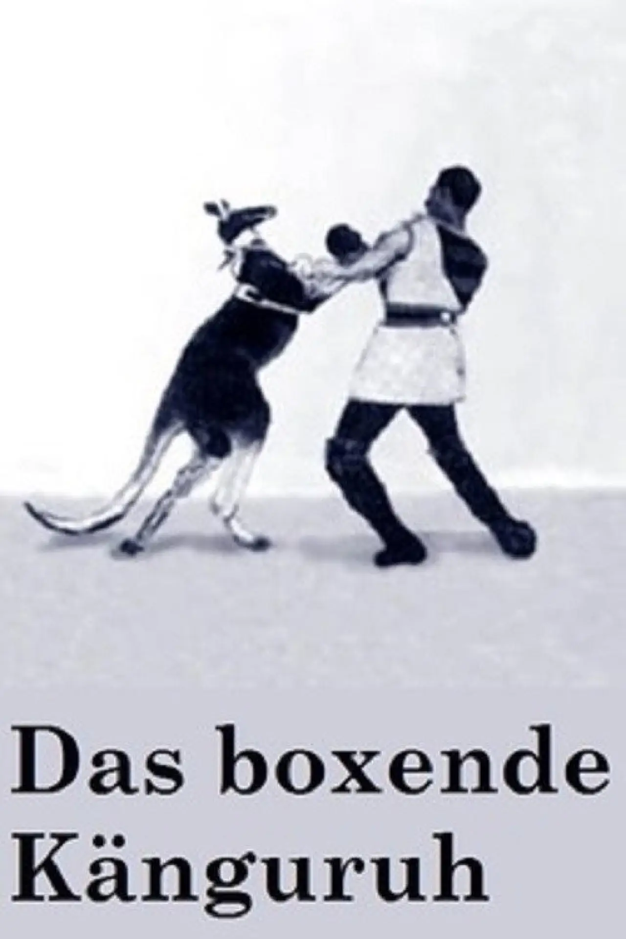 Movie poster "The Boxing Kangaroo"