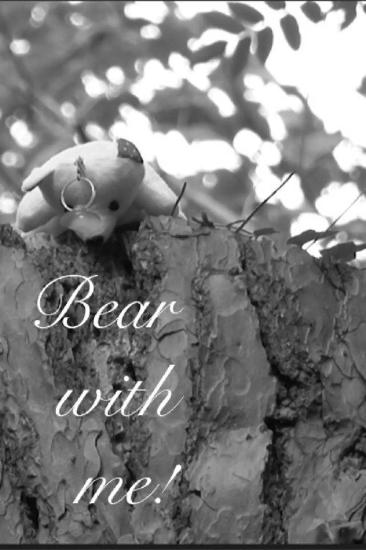 Movie poster "Bear with me!"