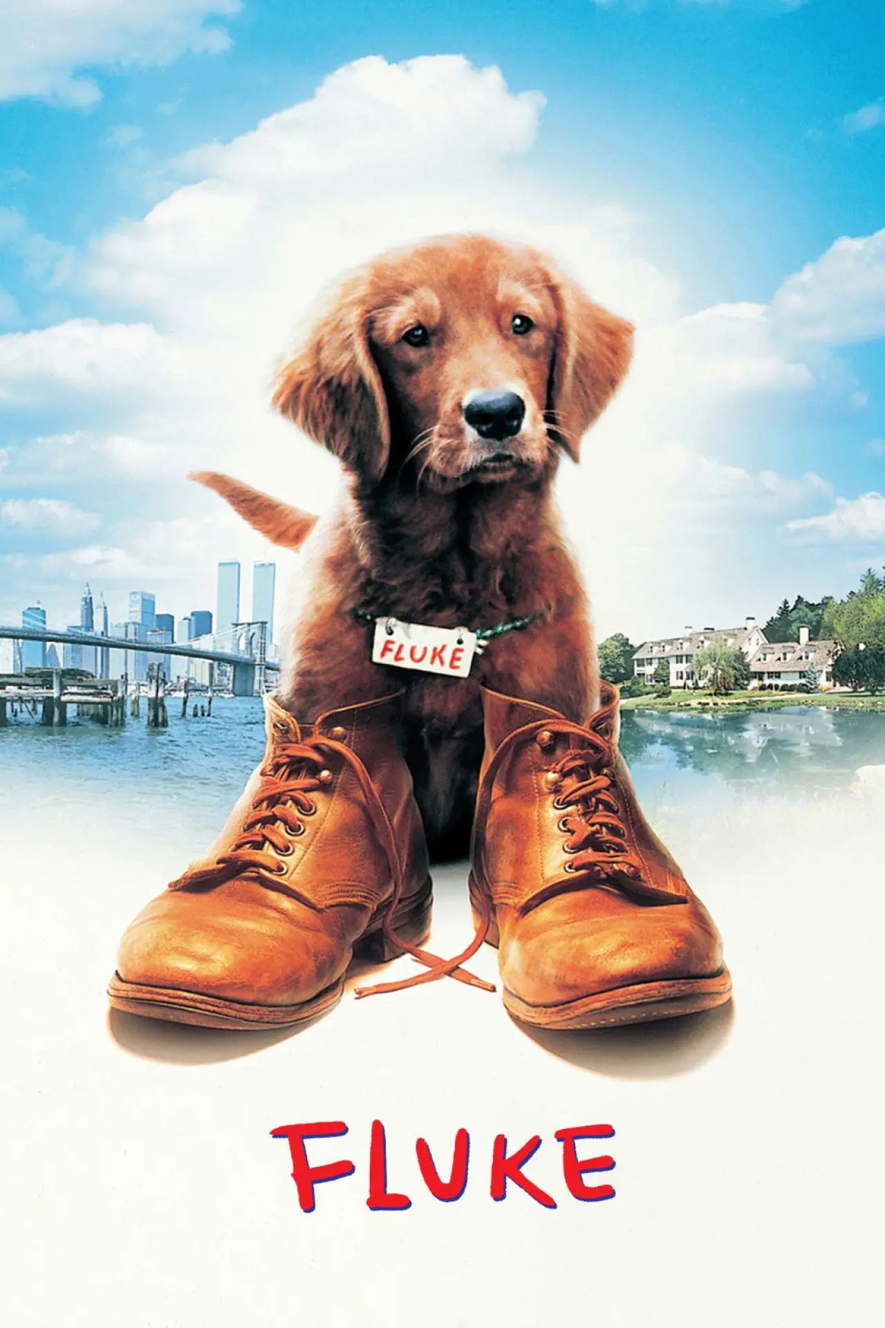 Movie poster "Fluke"