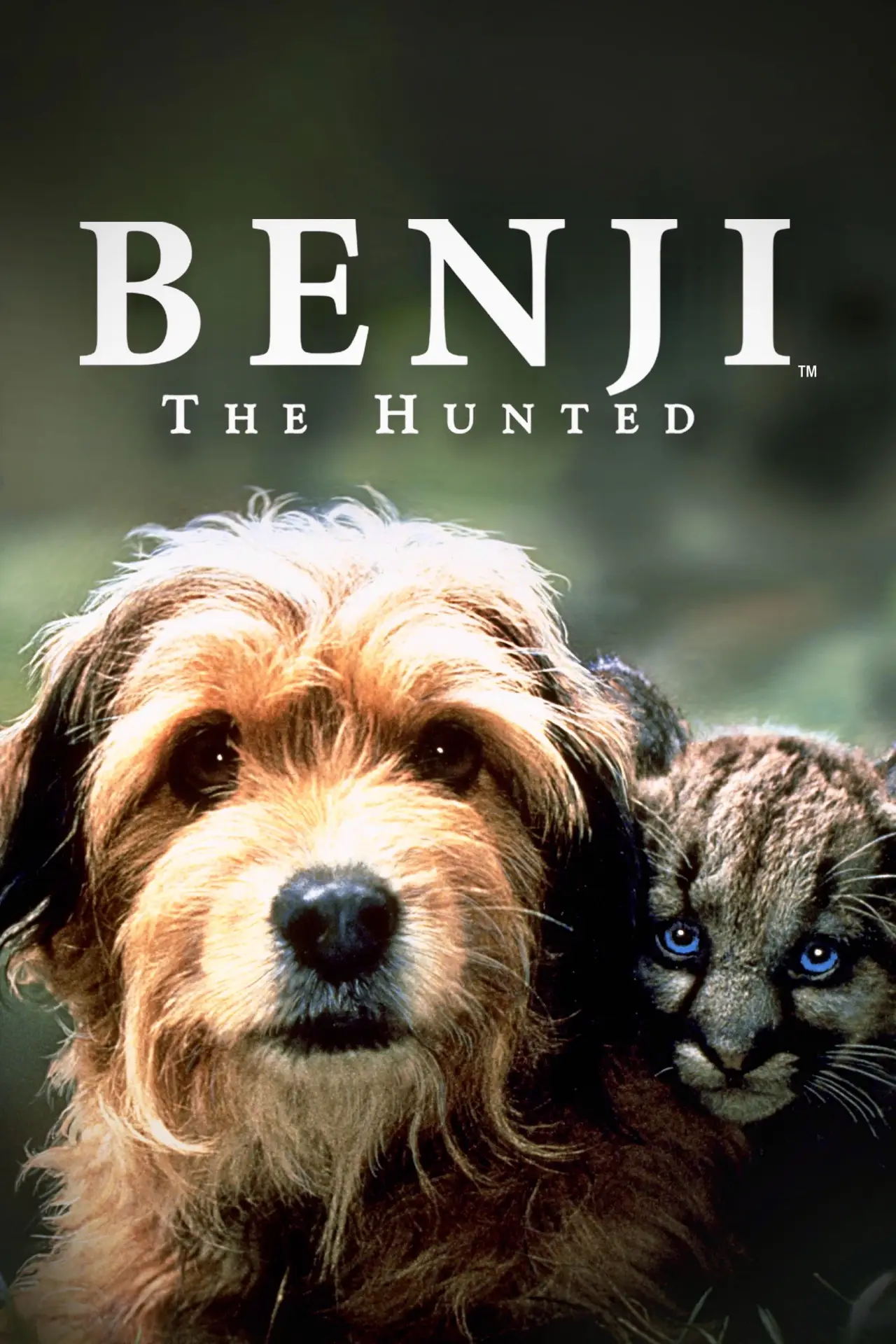 Movie poster "Benji the Hunted"