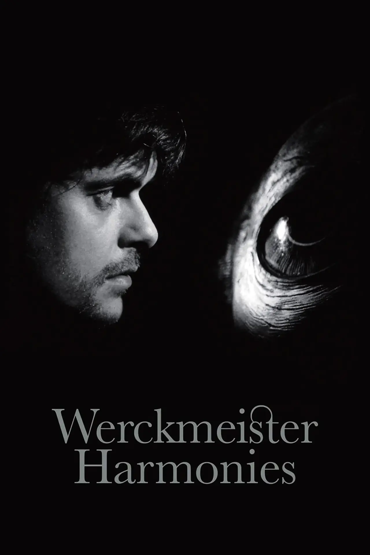 Movie poster "Werckmeister Harmonies"