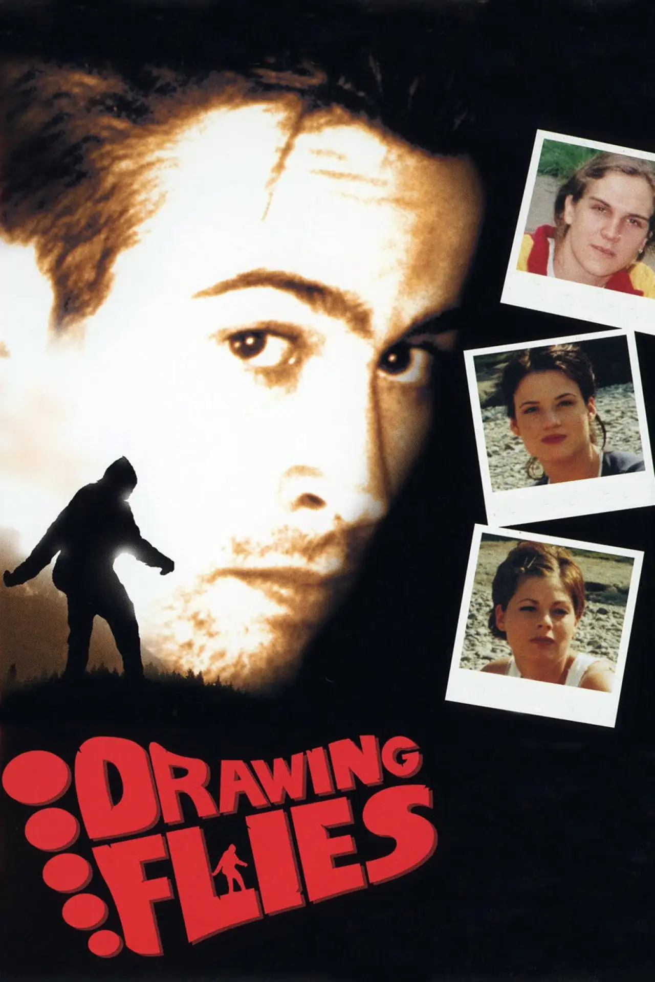Movie poster "Drawing Flies"