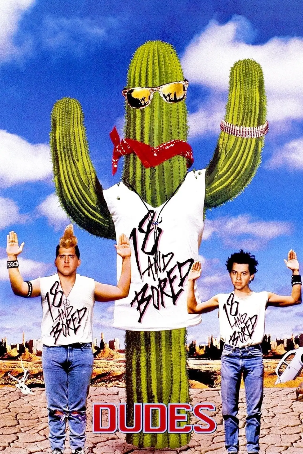 Movie poster "Dudes"