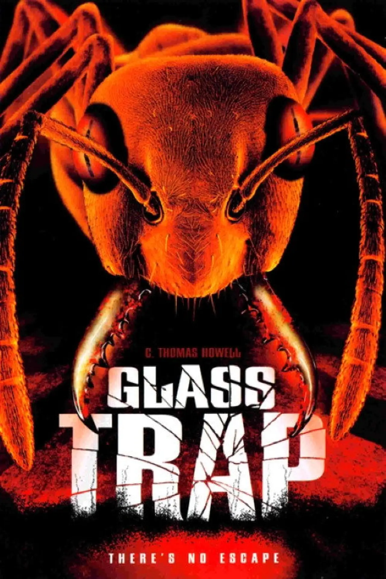 Movie poster "Glass Trap"