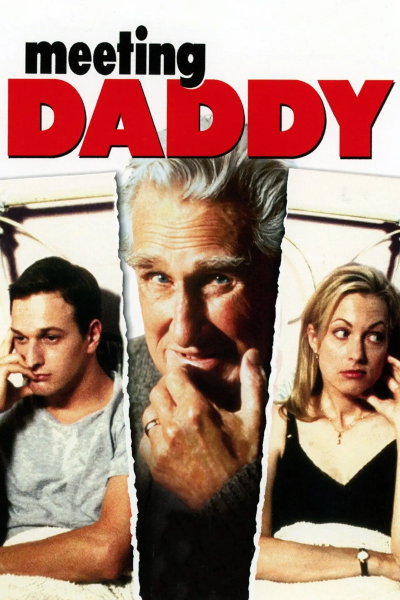 Movie poster "Meeting Daddy"