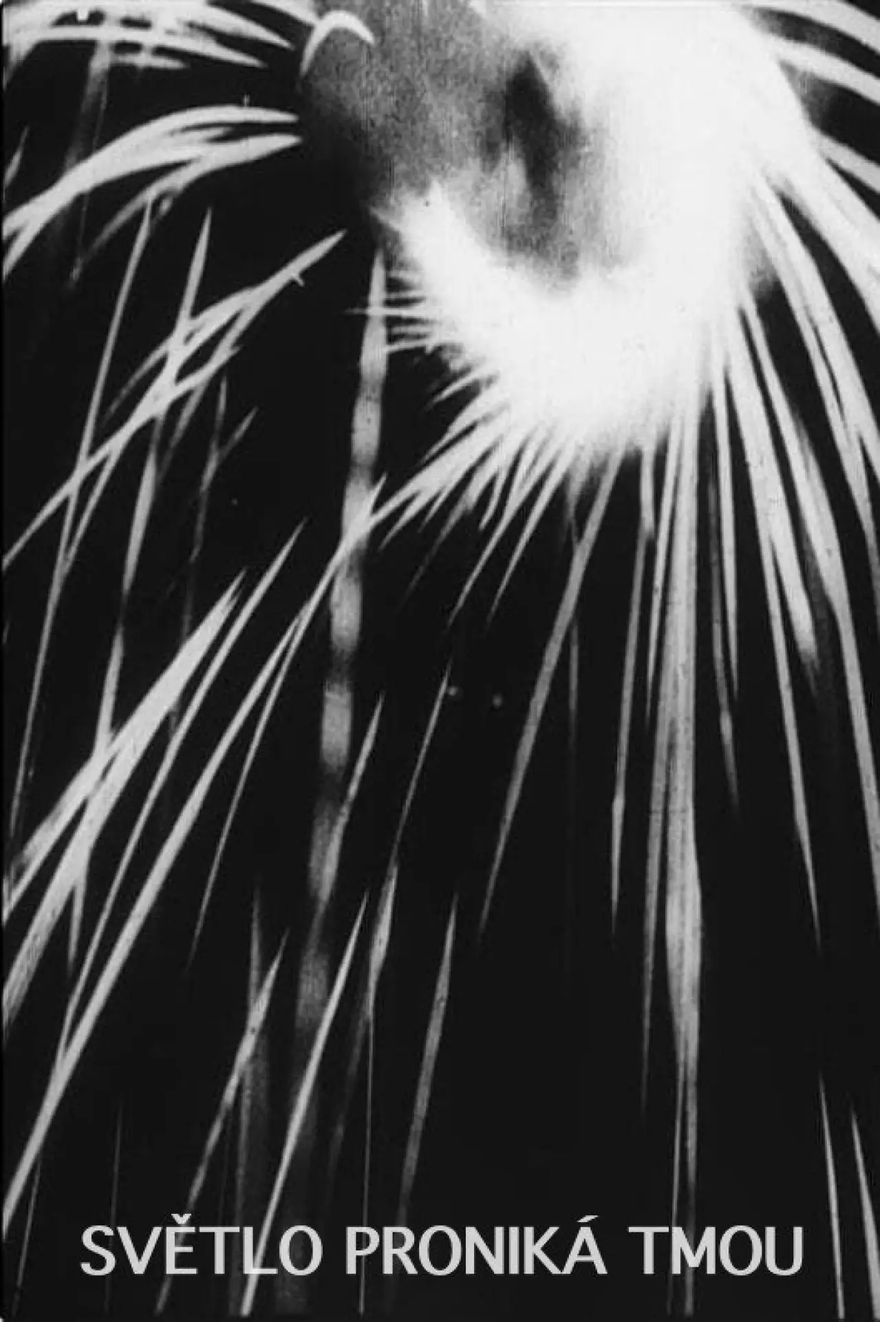 Movie poster "The Light Penetrates the Dark"