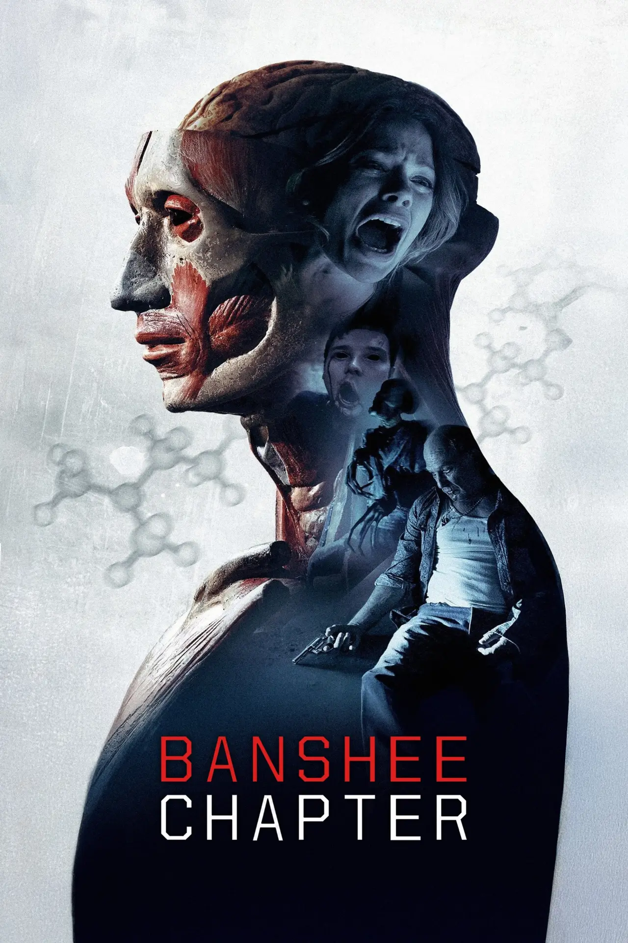 Movie poster "Banshee Chapter"