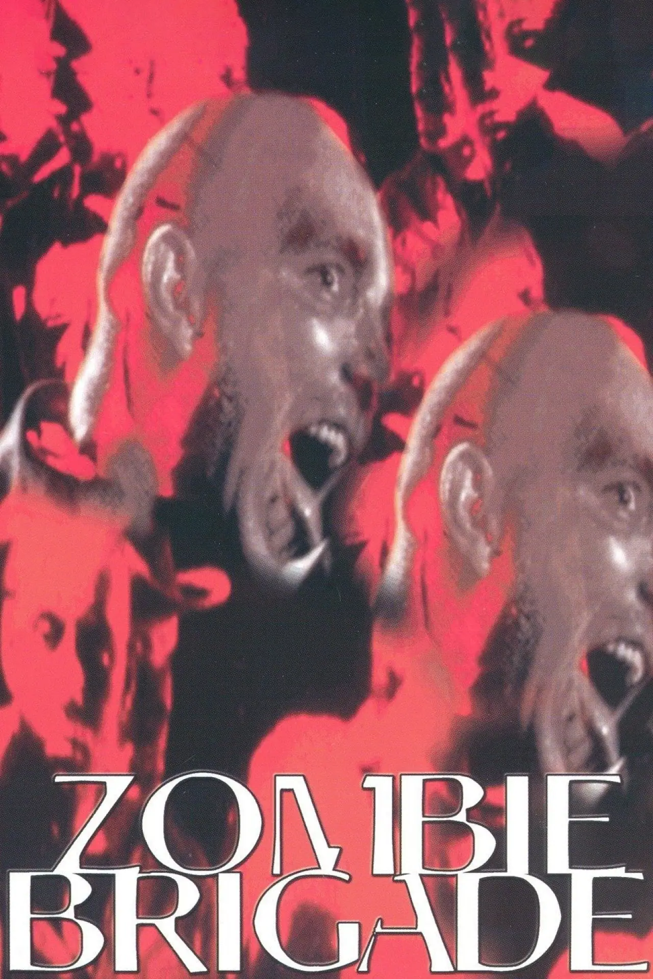 Movie poster "Zombie Brigade"