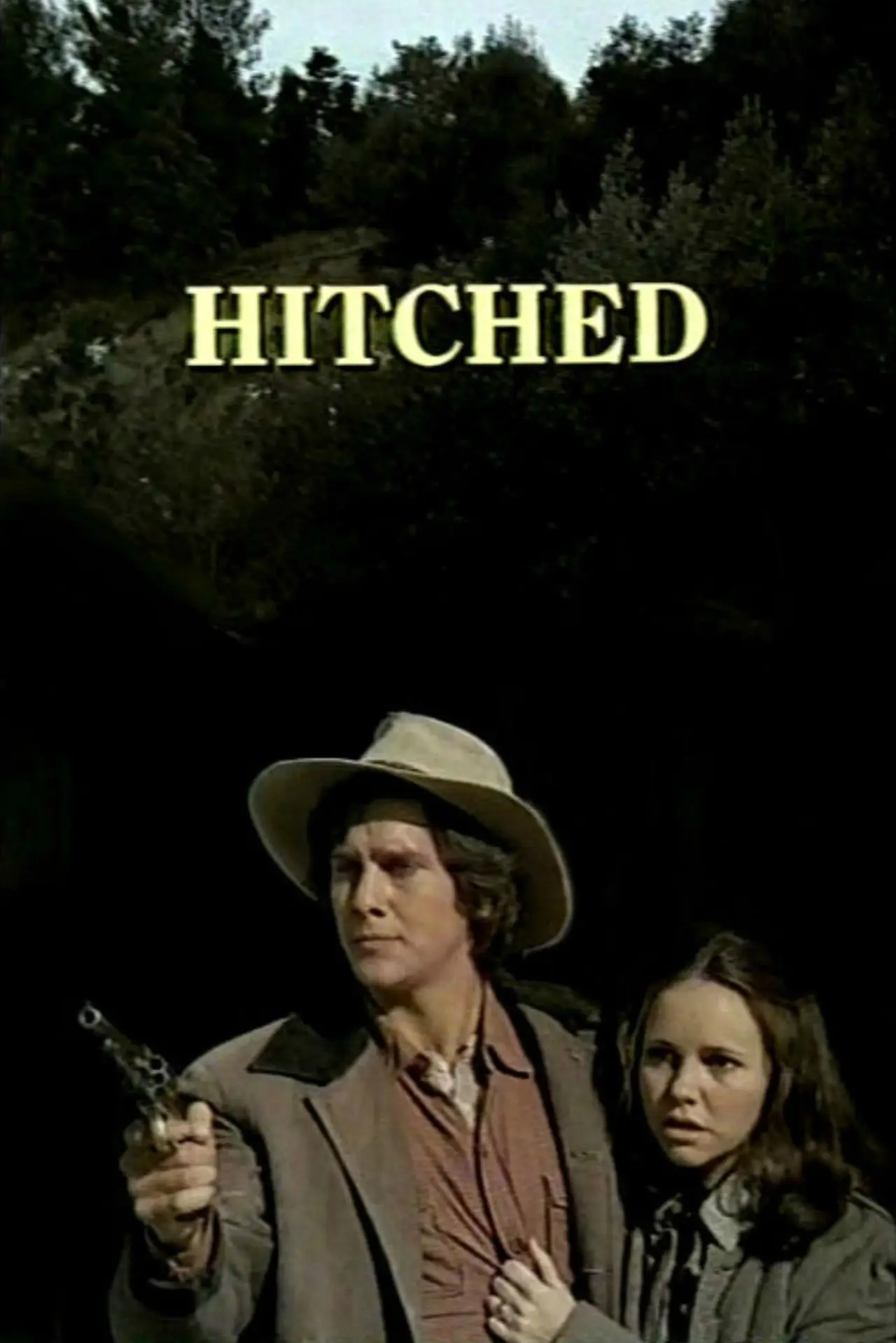 Movie poster "Hitched"