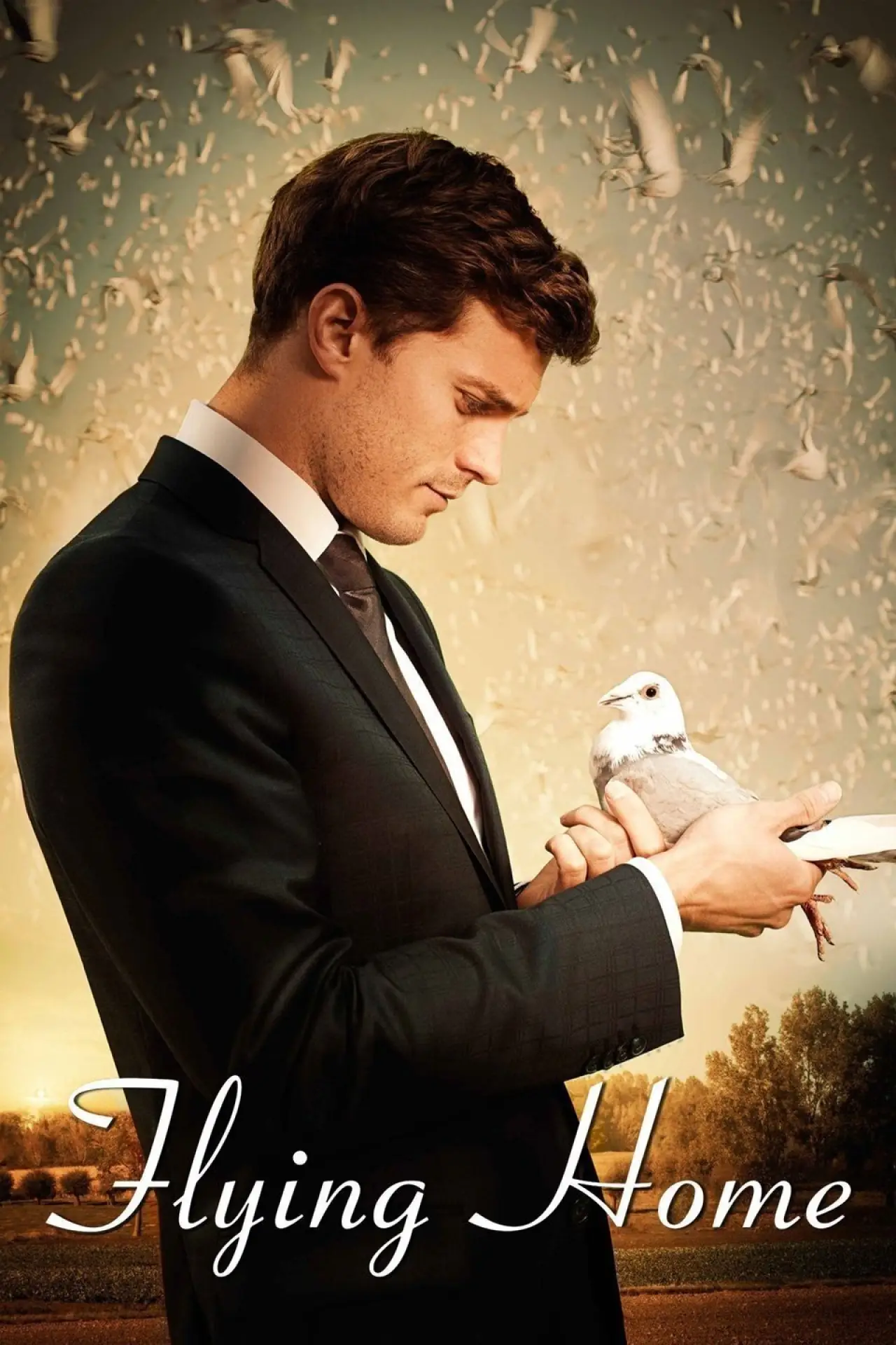 Movie poster "Flying Home"