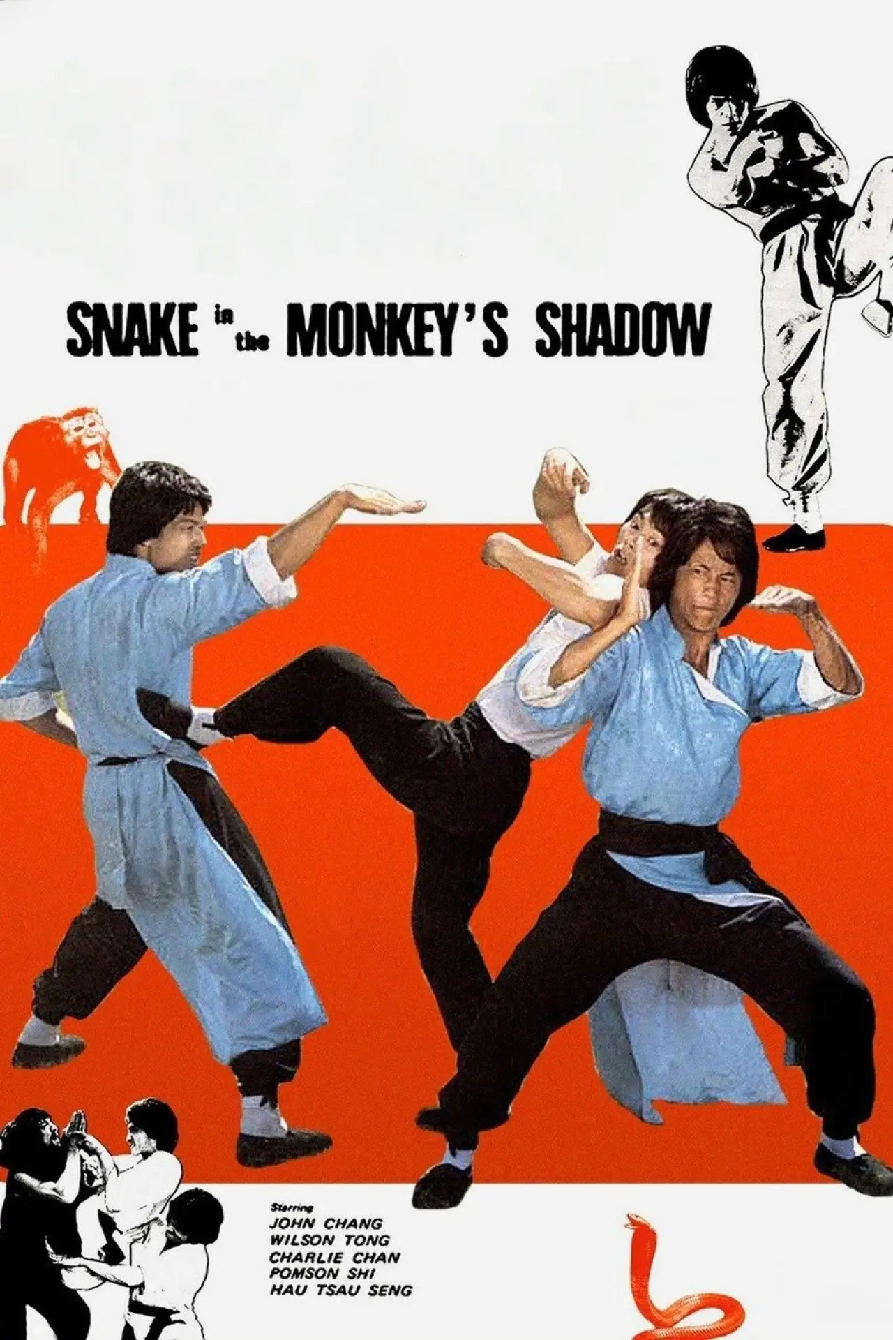 Movie poster "Snake in the Monkey