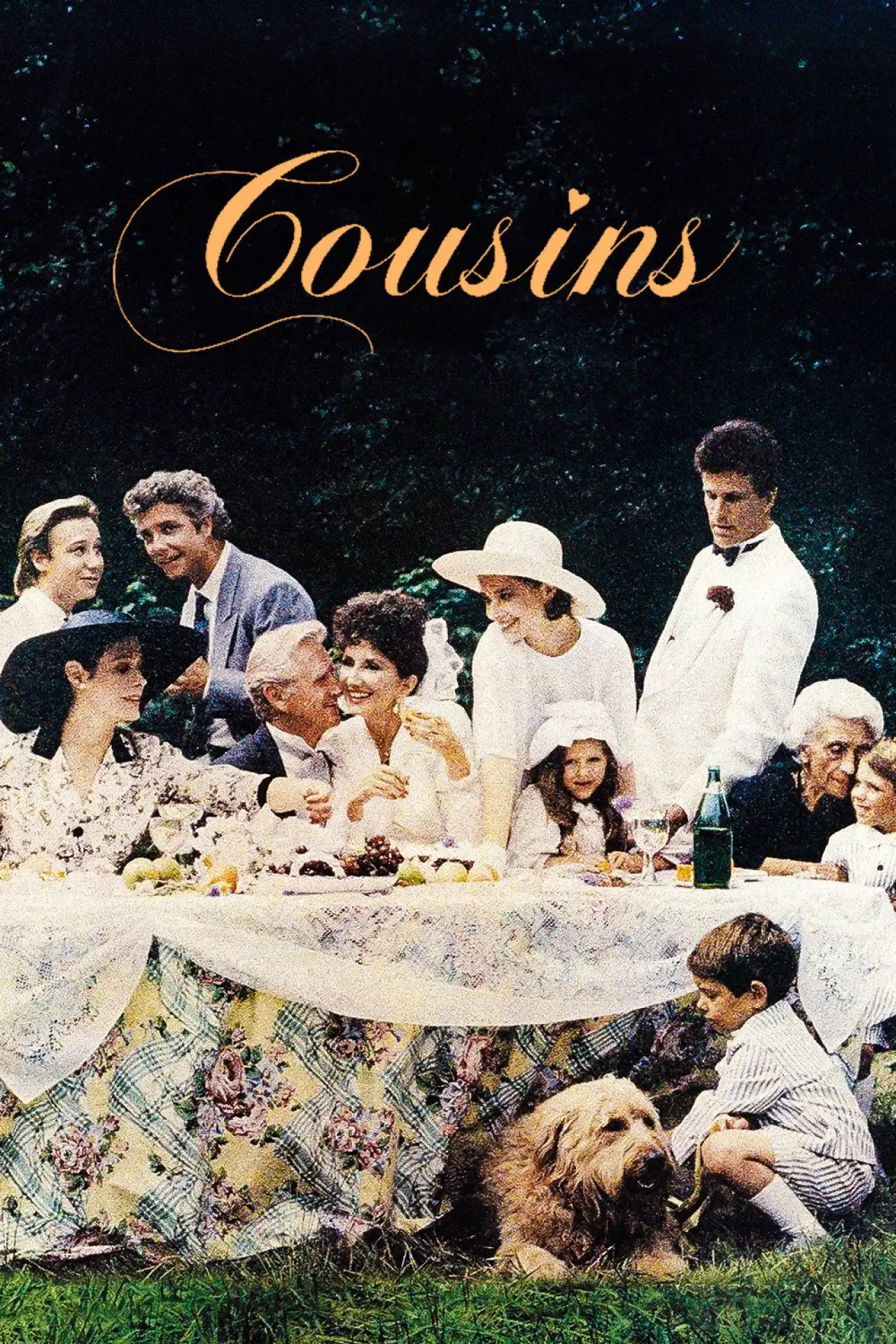 Movie poster "Cousins"