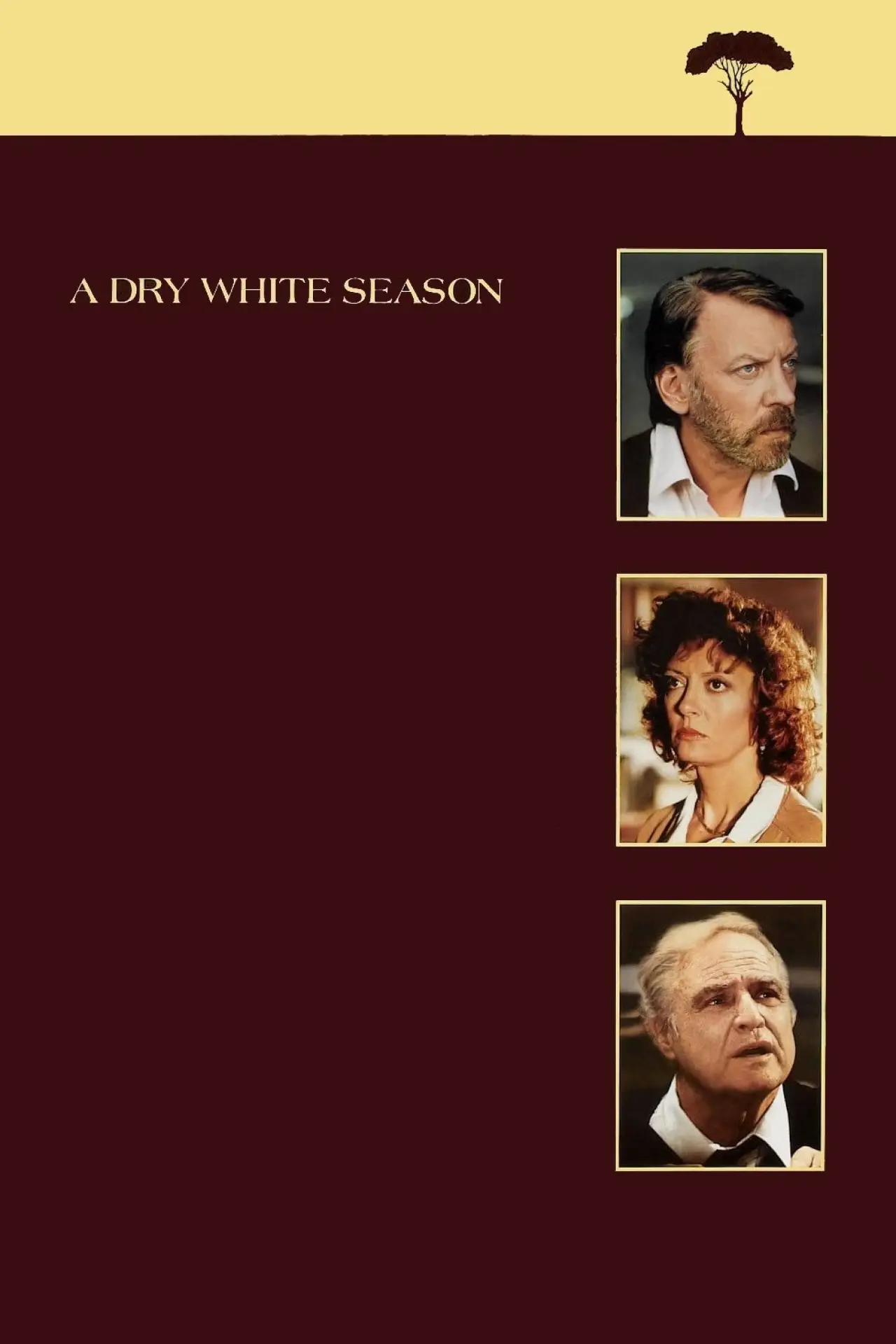 Movie poster "A Dry White Season"