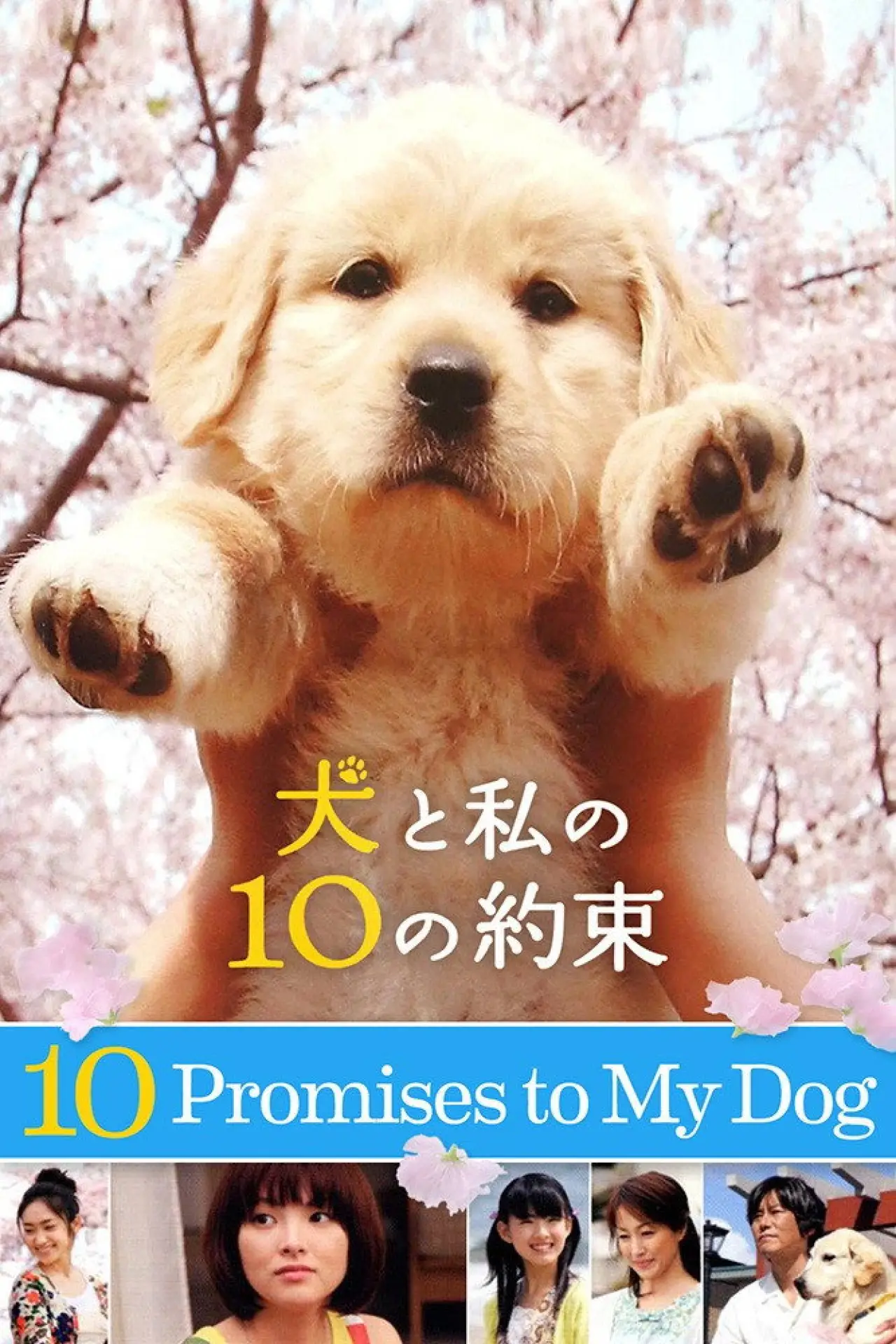 Movie poster "10 Promises to My Dog"