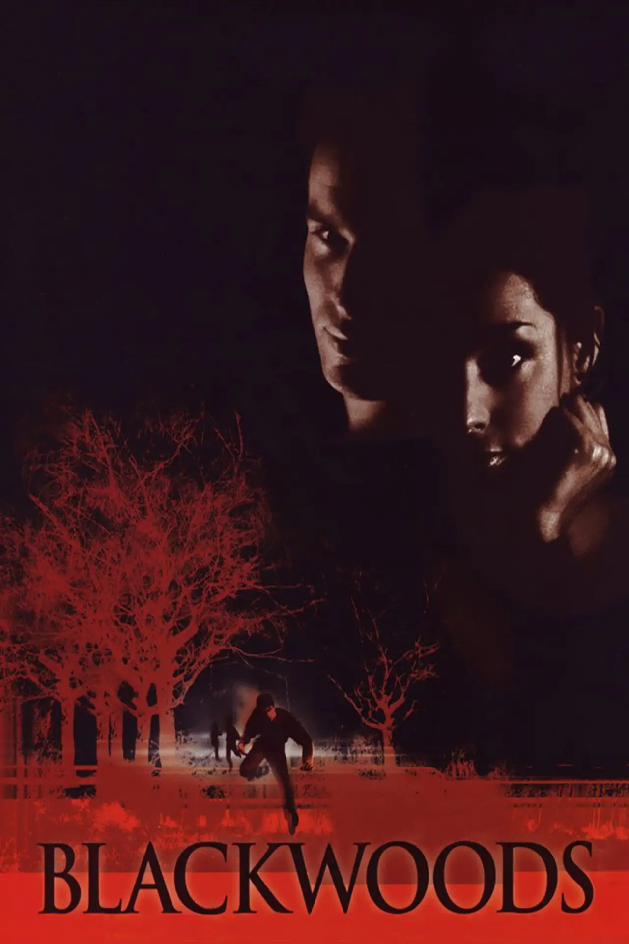 Movie poster "Blackwoods"
